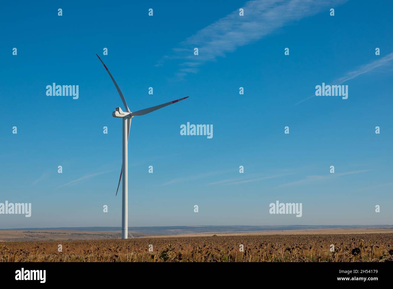 Éoliennes en terrain ouvert par temps venteux avec des nuages sombres dans le ciel. Production d'énergie alternative. Banque D'Images