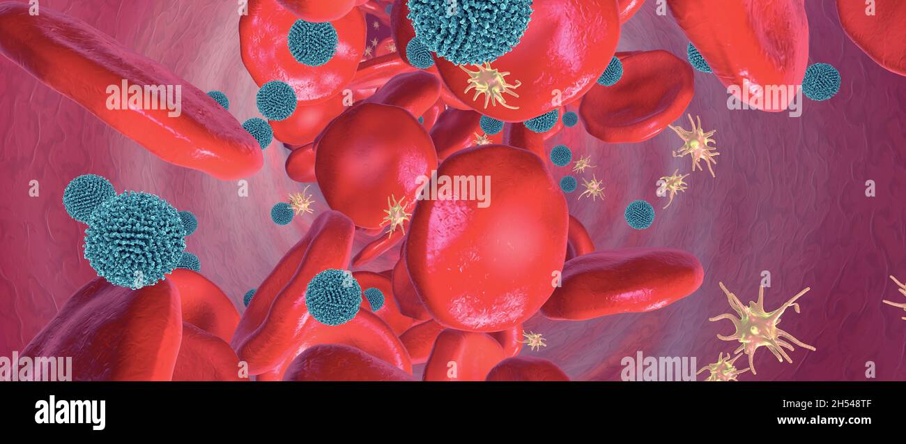 Composants du sang circulant dans le vaisseau sanguin, illustration Banque D'Images