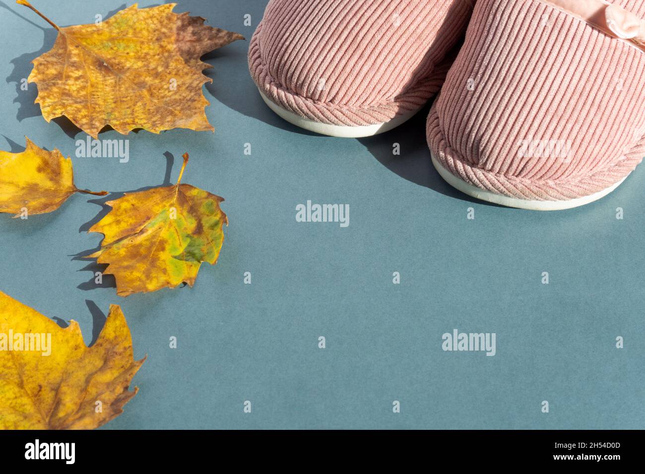 Chaussons et feuilles d'automne sur fond vert avec espace de texte.Chaussons doux et confortables en fourrure rose pour la maison. Pantoufles automnales et hivernales chaudes pour femmes. Banque D'Images