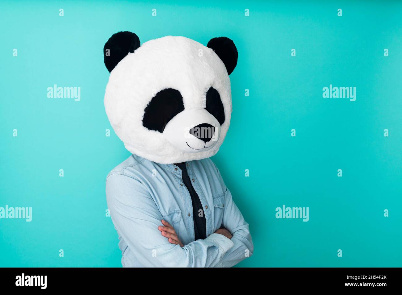 Homme dans le masque panda debout sur fond coloré Photo Stock - Alamy