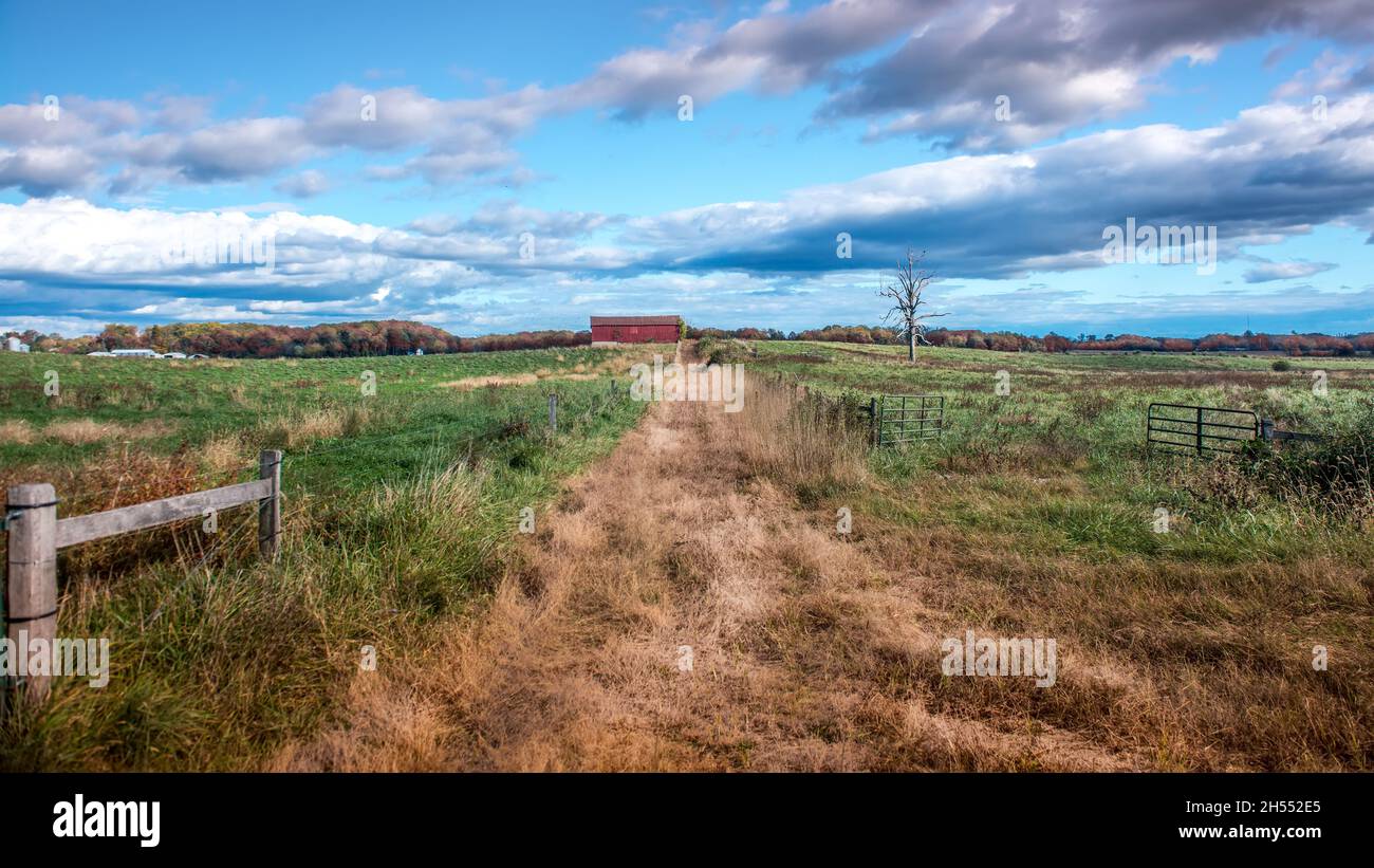 Paysage agricole avec une vieille route surcultivée menant à une grange rouge rustique dans un champ d'herbe dans la campagne du Maryland pendant l'automne avec l'automne flamboyant Banque D'Images