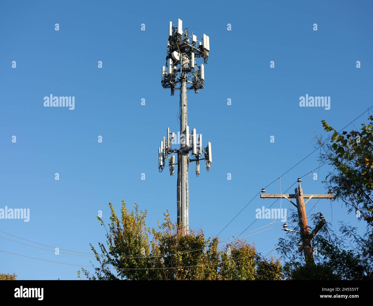 Une tour cellulaire se tient au-dessus des arbres et des lignes électriques croquantes dans un parc de la ville à côté de la base de réserve interarmées de la Station aérienne navale à fort Banque D'Images