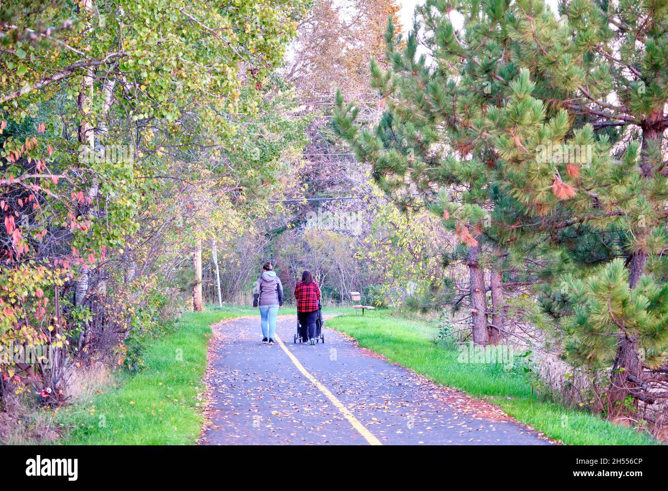 Deux femelles qui poussent une poussette marchent le long d'un sentier à Ignace Ontario Canada. Banque D'Images