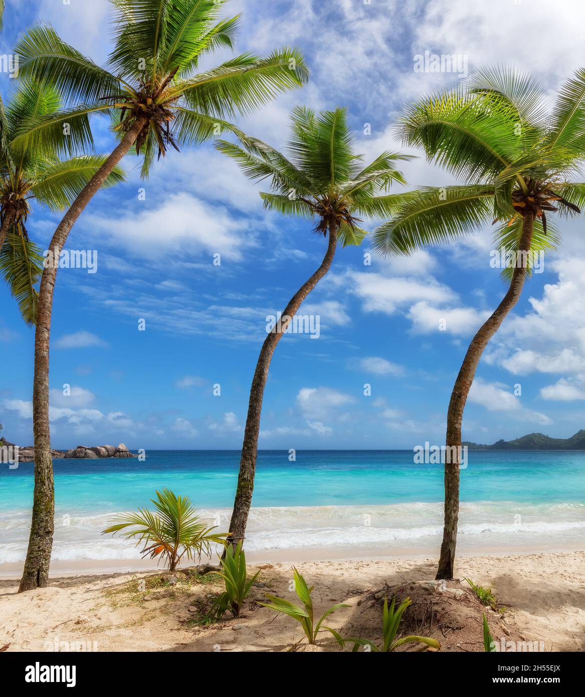 Paradis tropical Beach Banque D'Images