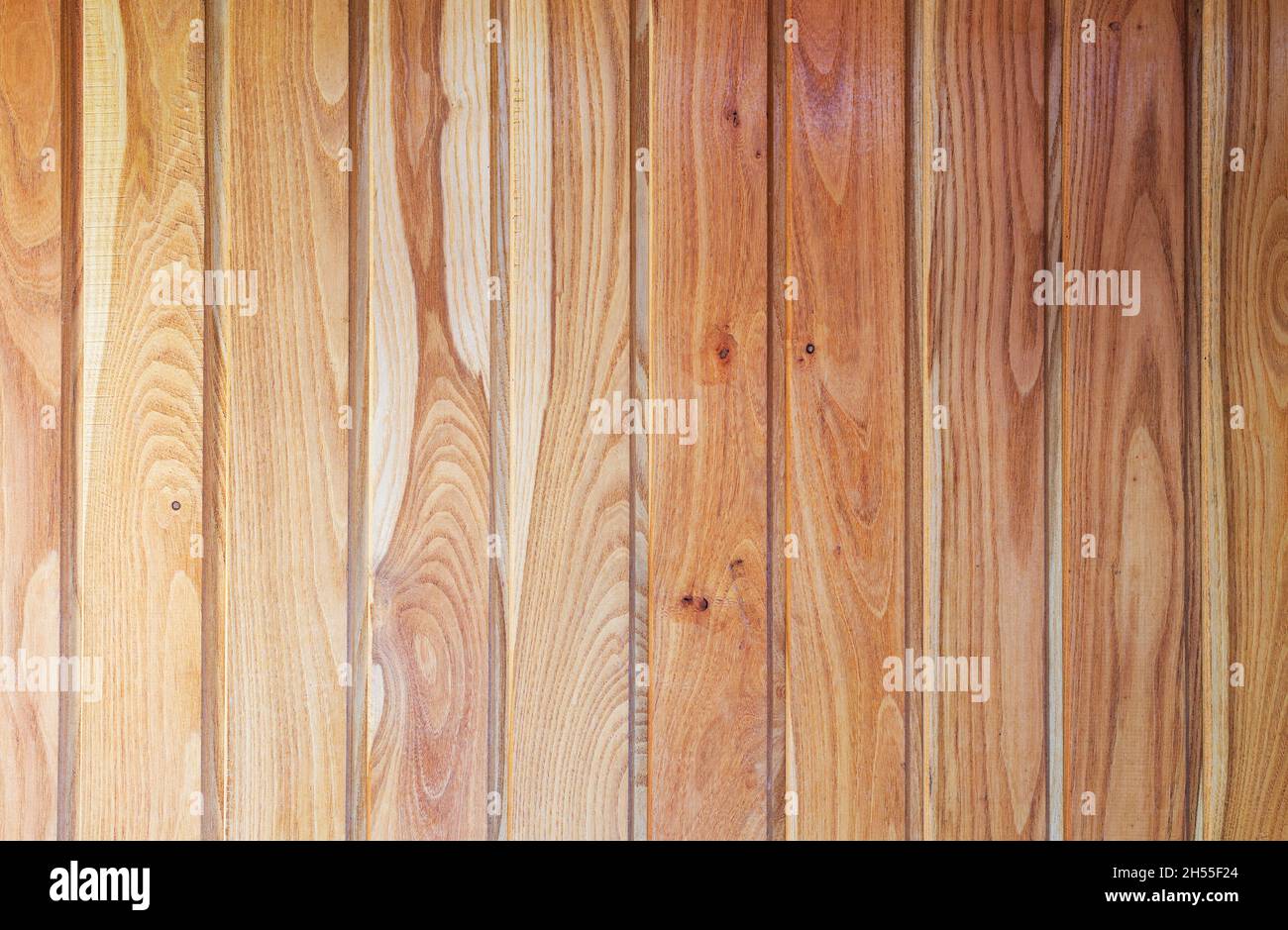 Une planche en bois d'acacia.Aspect rustique avec grain, nœuds et espace de copie. Cartes et design pour les invitations à des événements. Brochures environnementales. Banque D'Images