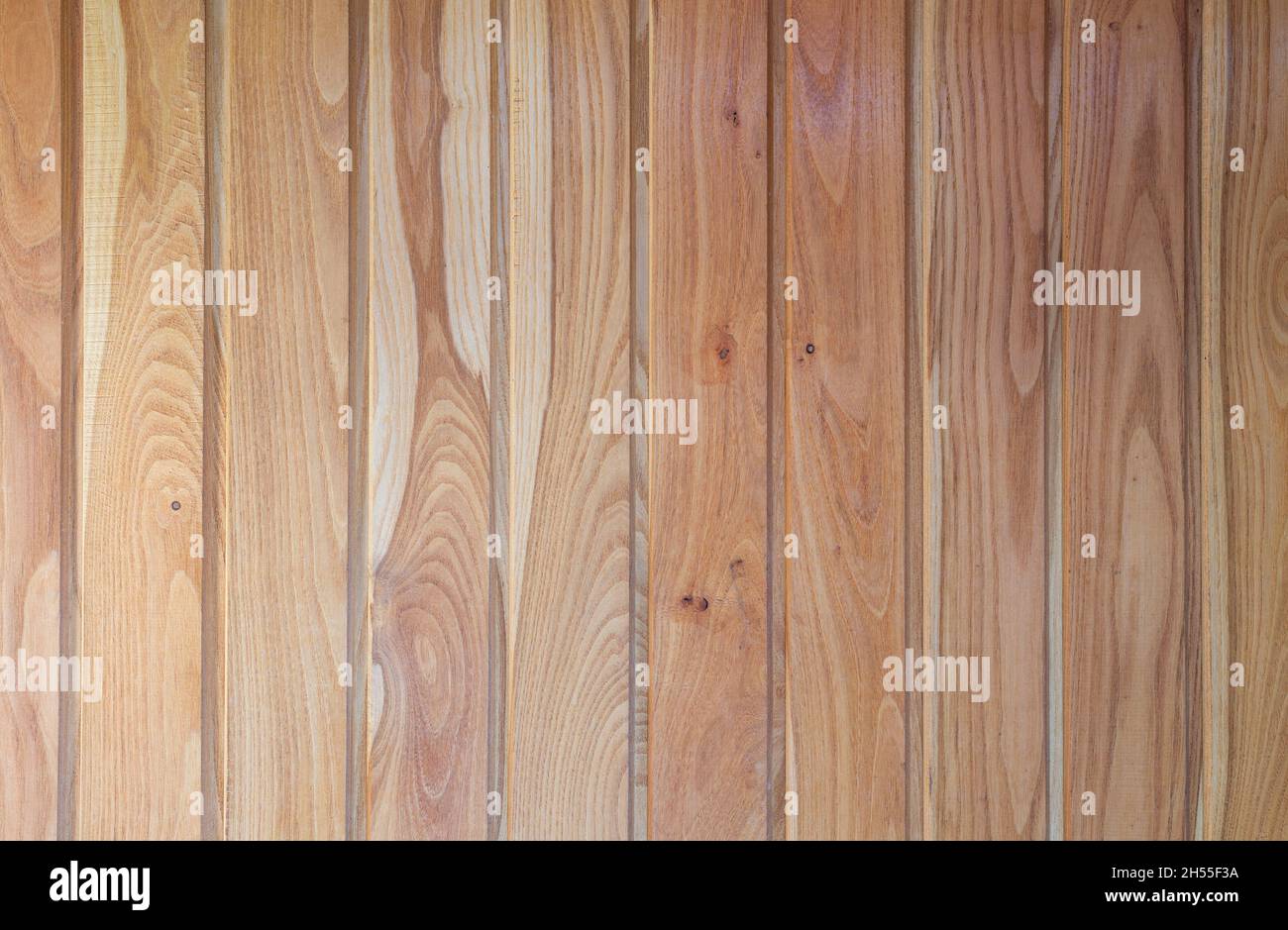 Un fond en bois d'acacia gros plan - texture riche en grain Banque D'Images