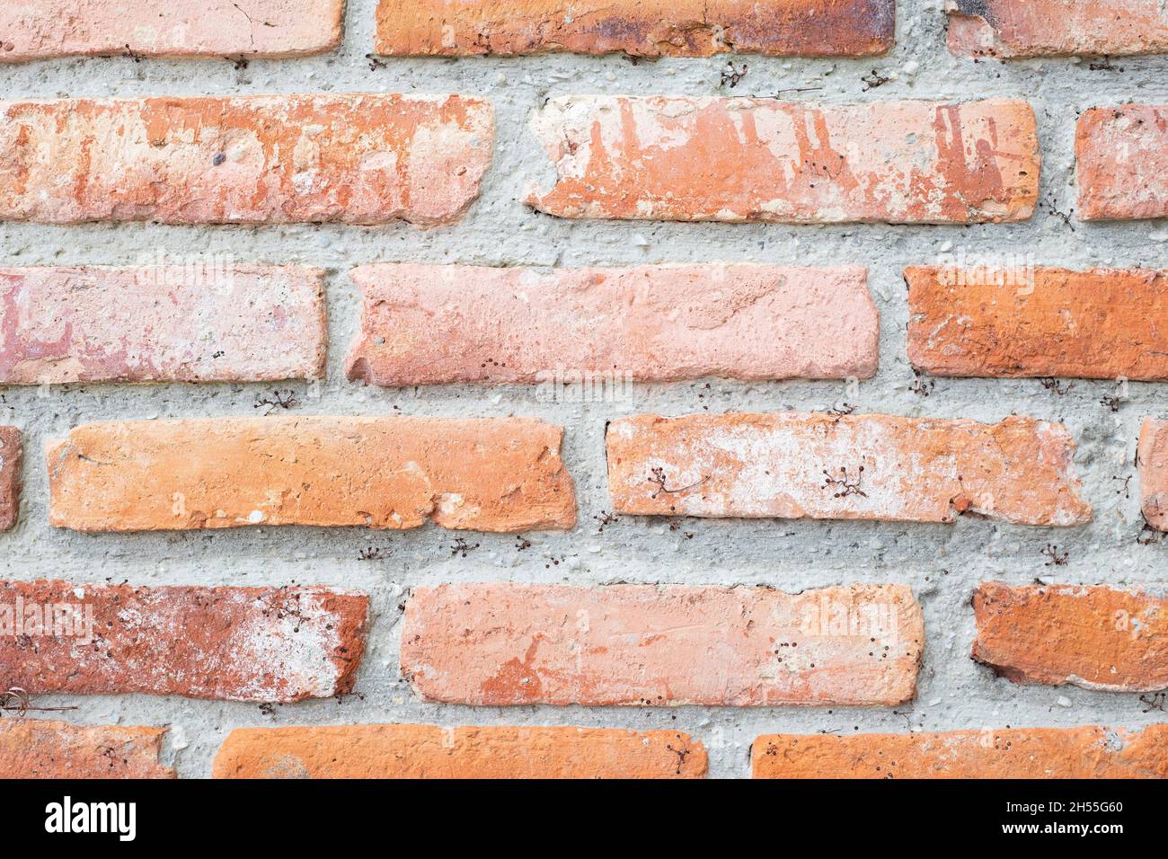 Photo fermée d'un vieux mur de briques rouges. Fond urbain classique. Fond pour la photographie moderne. Pas de vignetage. Banque D'Images