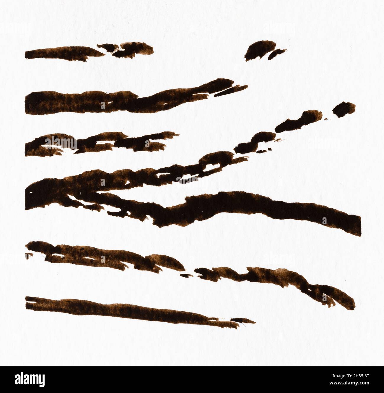 exemple de technique de peinture à l'aquarelle dessinée à la main en couleur sépia sur papier blanc texturé gros plan - aquarelle coups de pinceau secs Banque D'Images