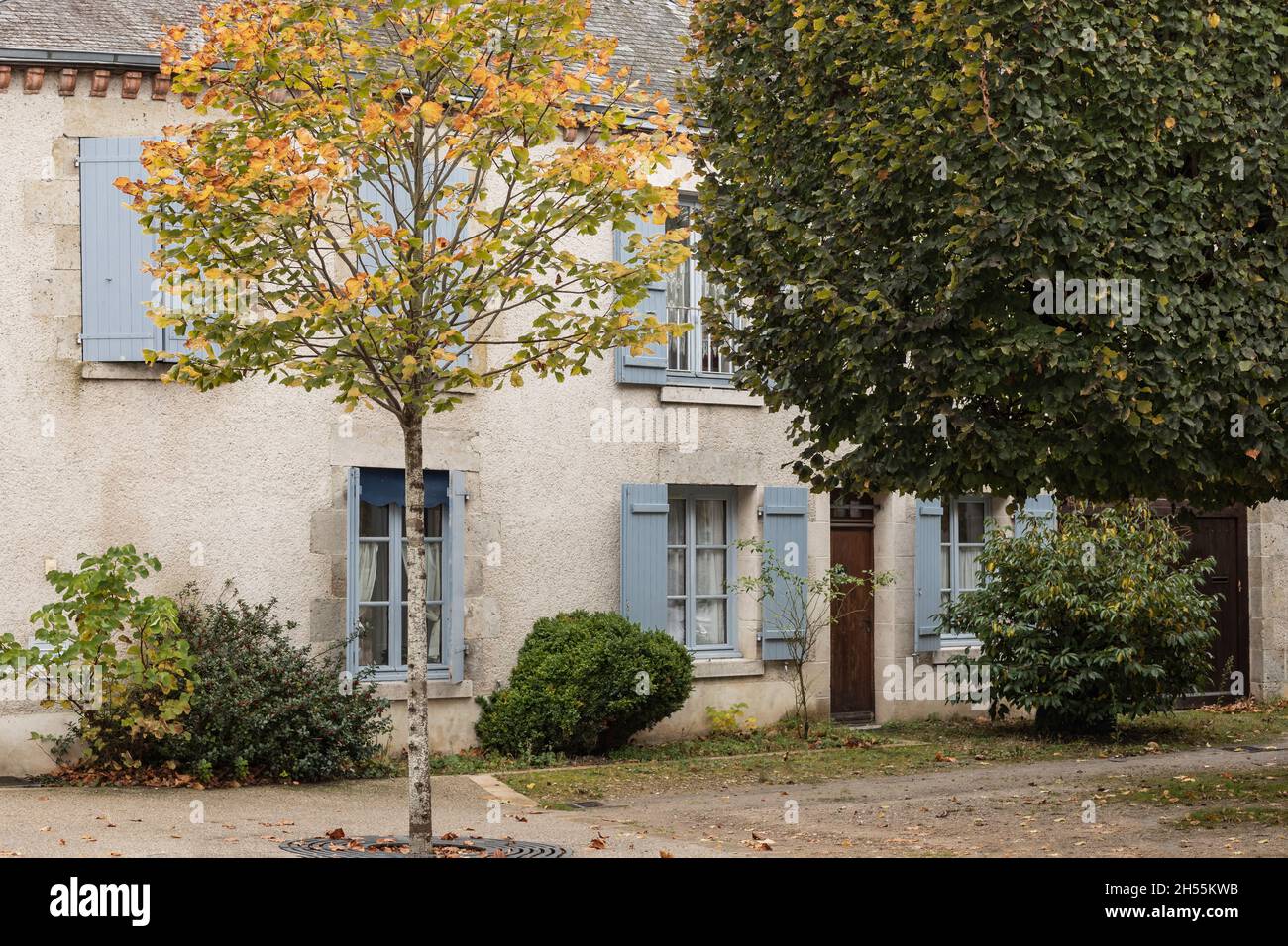 Vue de face d'un bâtiment avec des volets bleus Banque D'Images