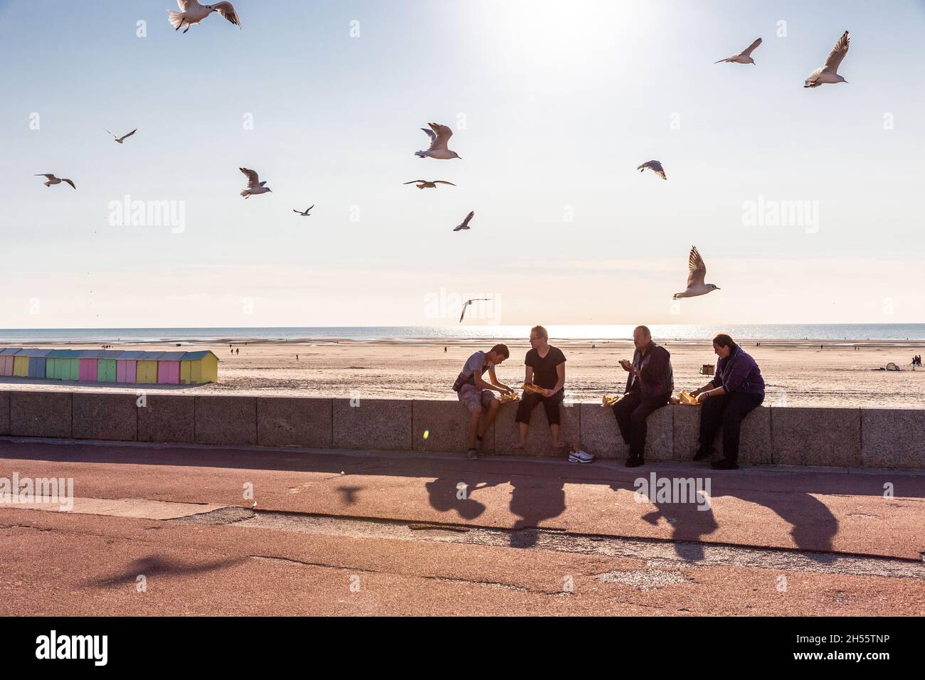 Groupe de quatre personnes pique-nique sur un mur bas près de la plage,  entouré de mouettes.Berck-Plage.Opal Coast, France Photo Stock - Alamy