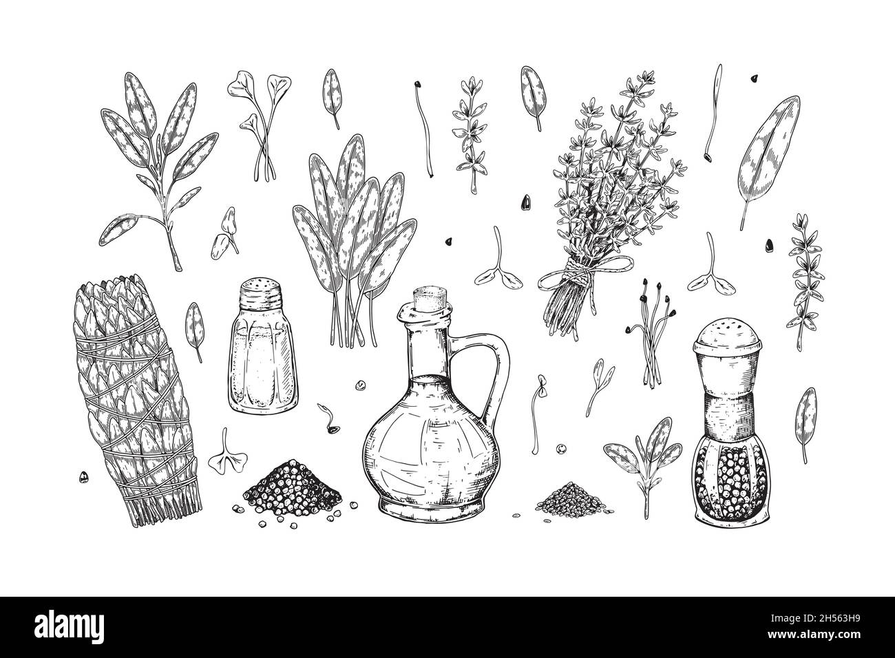 Ensemble de fines herbes et d'épices dessinées à la main.Illustration vectorielle dans le style d'esquisse Illustration de Vecteur