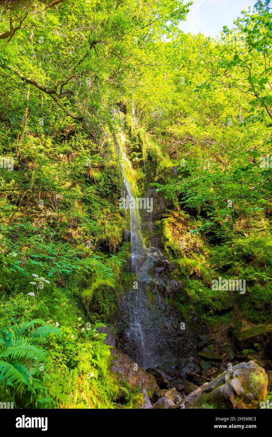 La rivière Esk mène au bec de Malyan, une chute d'eau dans le North Yorkshire, en Angleterre, près du village de Goathland.C'est la plus haute cascade du NOR Banque D'Images