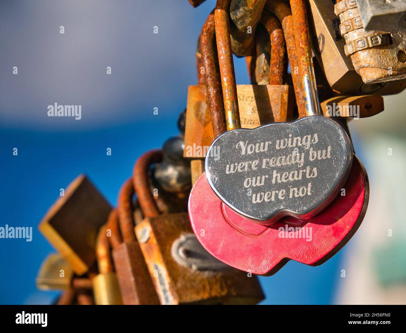 Un verrou d'amour en acier inscrit avec les mots "vos ailes étaient prêtes mais nos coeurs n'étaient pas".Photo avec d'autres cadenas d'amour sur une barrière pour piétons Banque D'Images