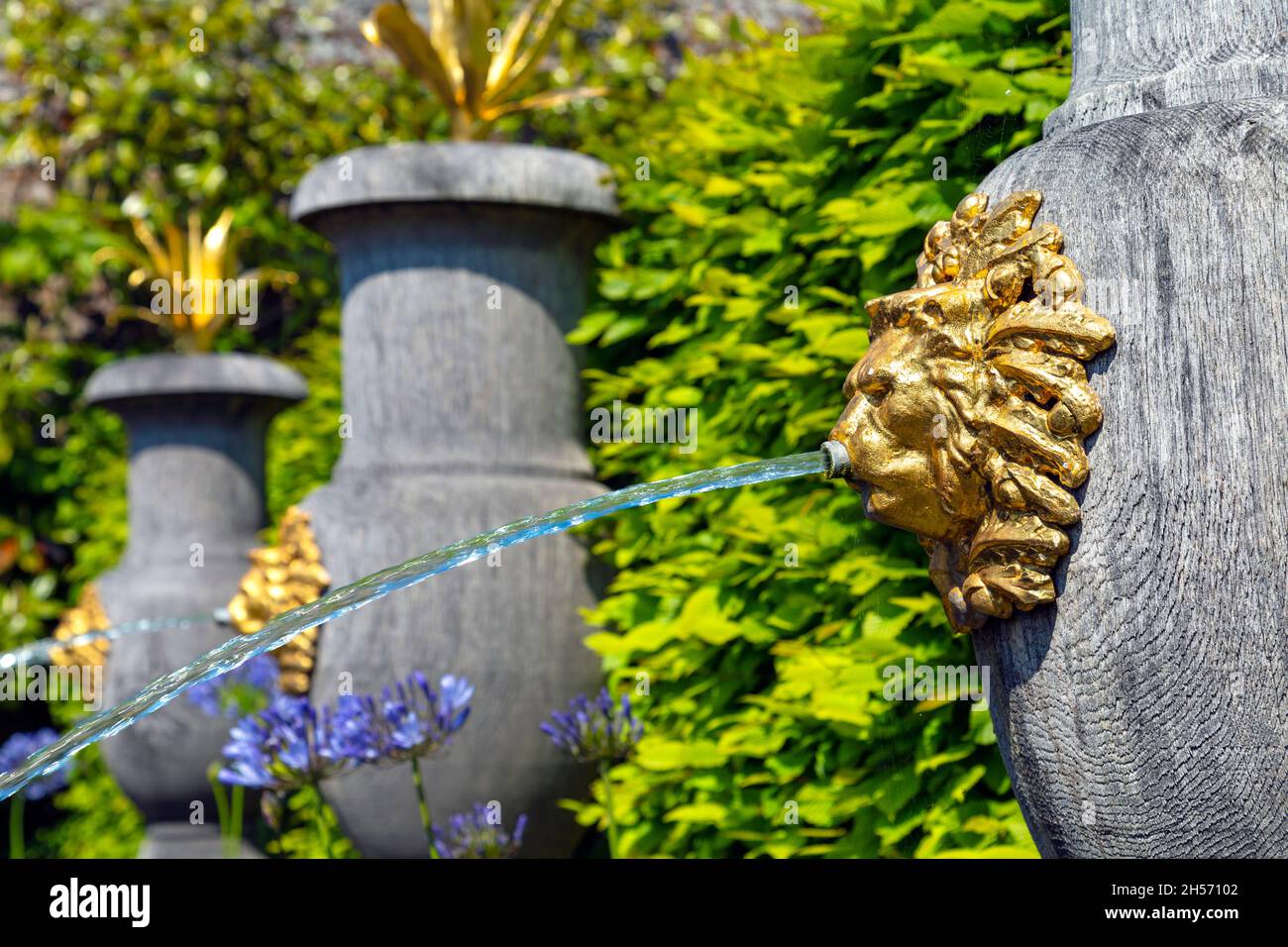 Tête de lion dorée sur des urnes en chêne vert en bois qui jaillissent de l'eau dans la fontaine, Collector Earl's Garden, Arundel Castle, Arundel, Royaume-Uni Banque D'Images