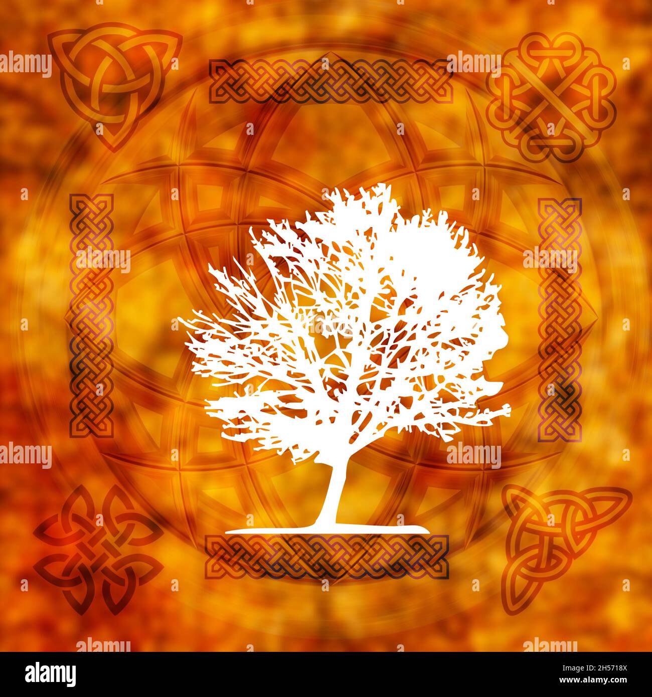 arbre blanc magique avec divers symboles celtiques comme l'astrologie d'arbre celtique et le concept païen Banque D'Images