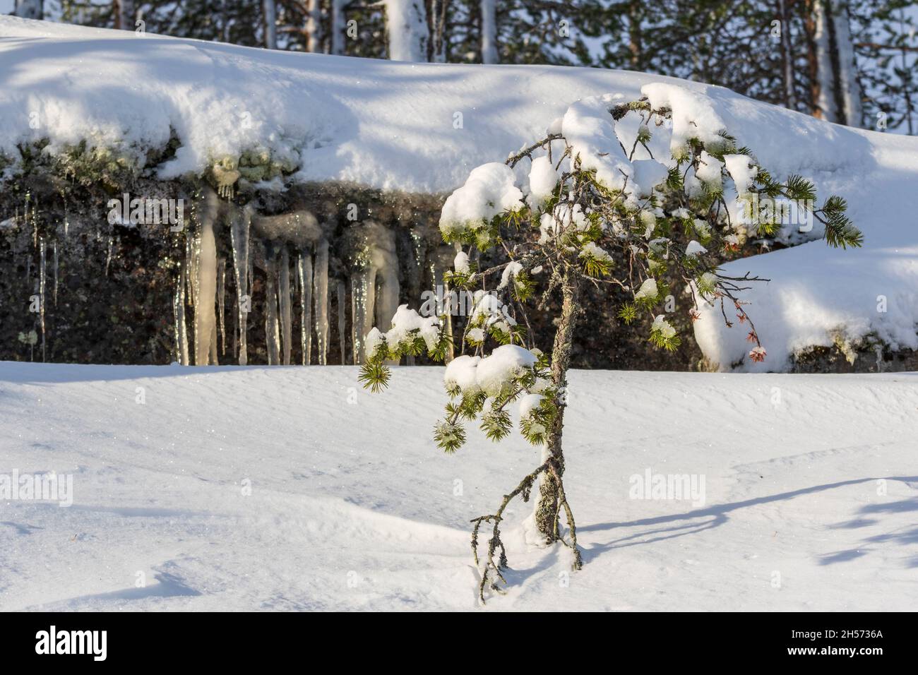 Hiver Banque D'Images