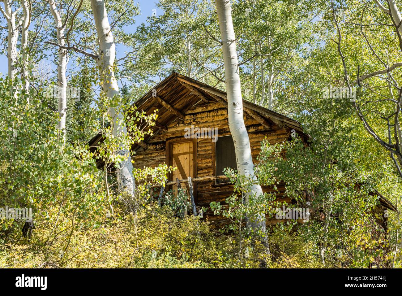 La cabane en rondins du propriétaire de la mine à la mine Silver King, dans les monts Tushar, près de Marysvale, Utah. Banque D'Images