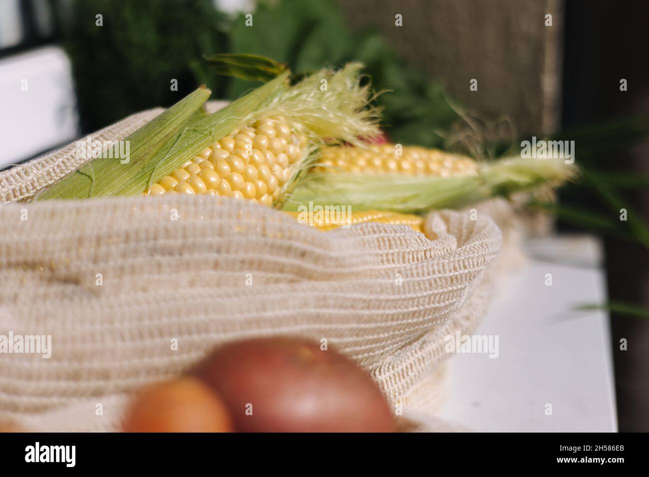 Maïs frais cru dans un sac d'épicerie en toile écologique.Sacs de coton avec légumes.Concept d'achat sans gaspillage.Articles sans plastique Banque D'Images