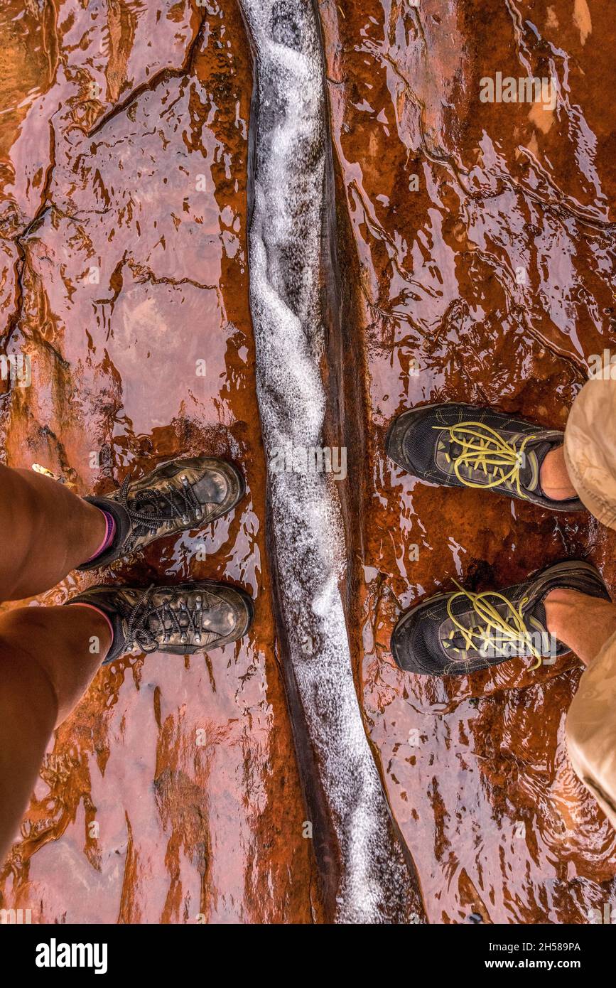 L'eau s'écoulant à travers une fissure étroite dans la gorge du métro, Zion NP, États-Unis Banque D'Images