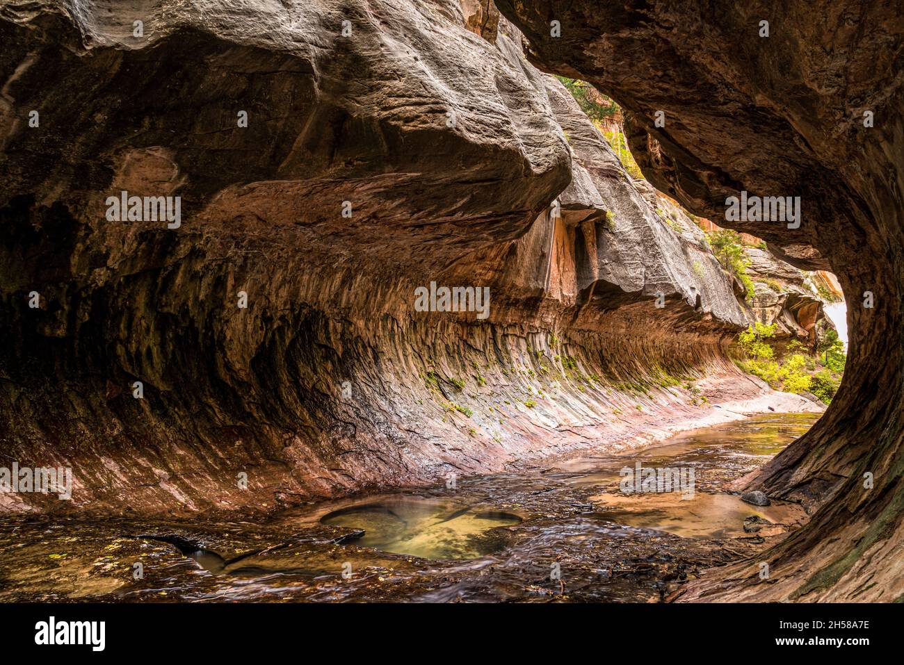 Magnifique site de la gorge du métro dans le parc national de Zion dans l'Utah, États-Unis Banque D'Images