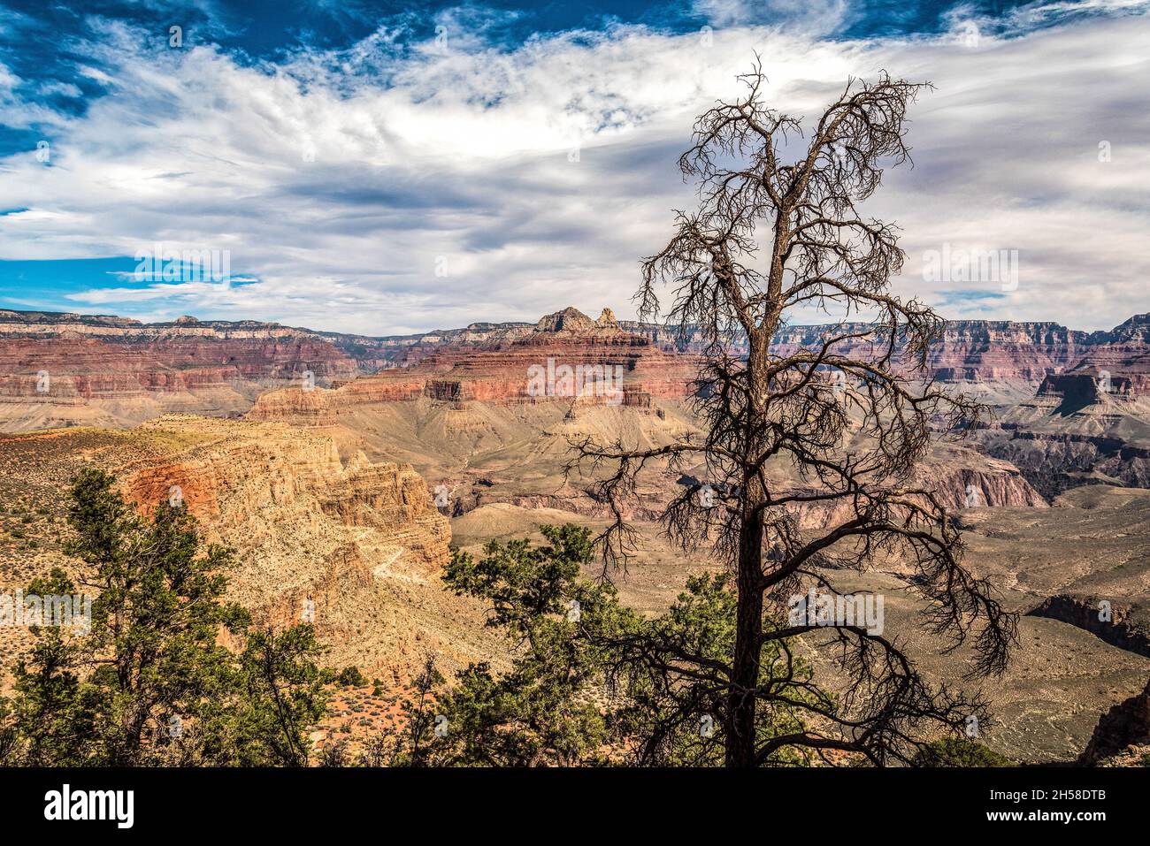 Vue panoramique sur le Grand Canyon depuis South Kaibab Trail, Arizona, États-Unis Banque D'Images