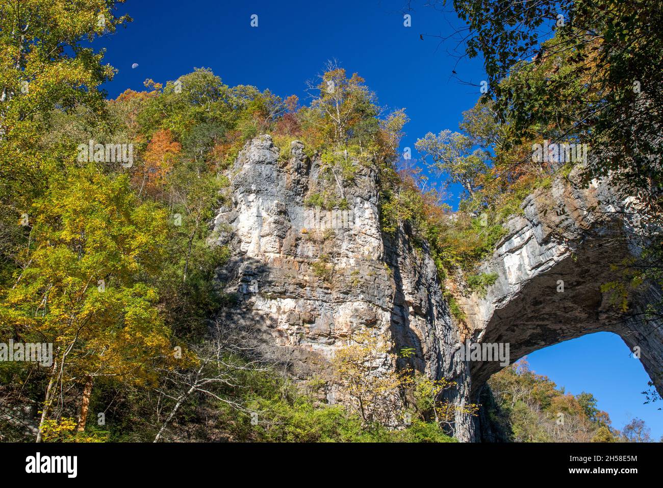 Pont naturel dans l'État de Virginie Banque D'Images
