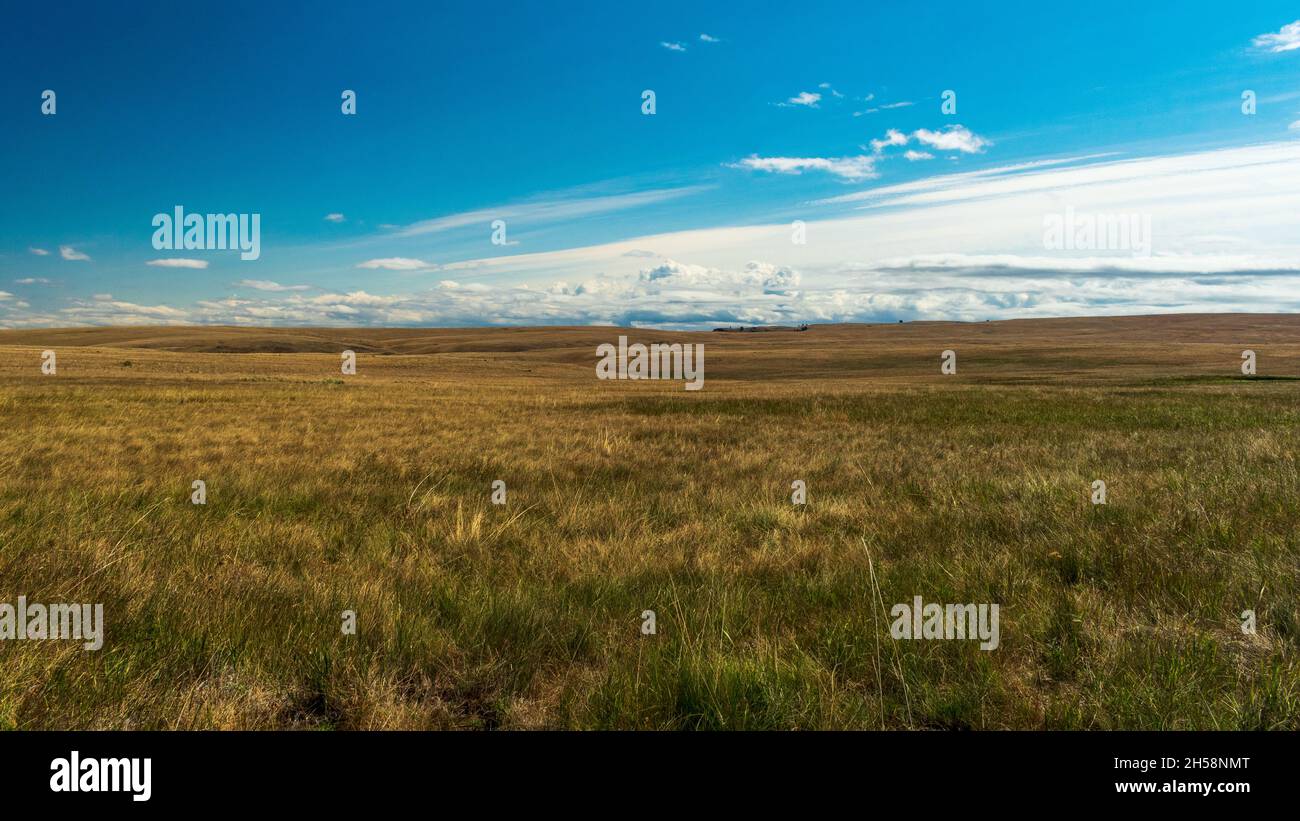 Zumwalt Prairie, zone de loisirs nationale de Hells Canyon, Oregon, États-Unis Banque D'Images