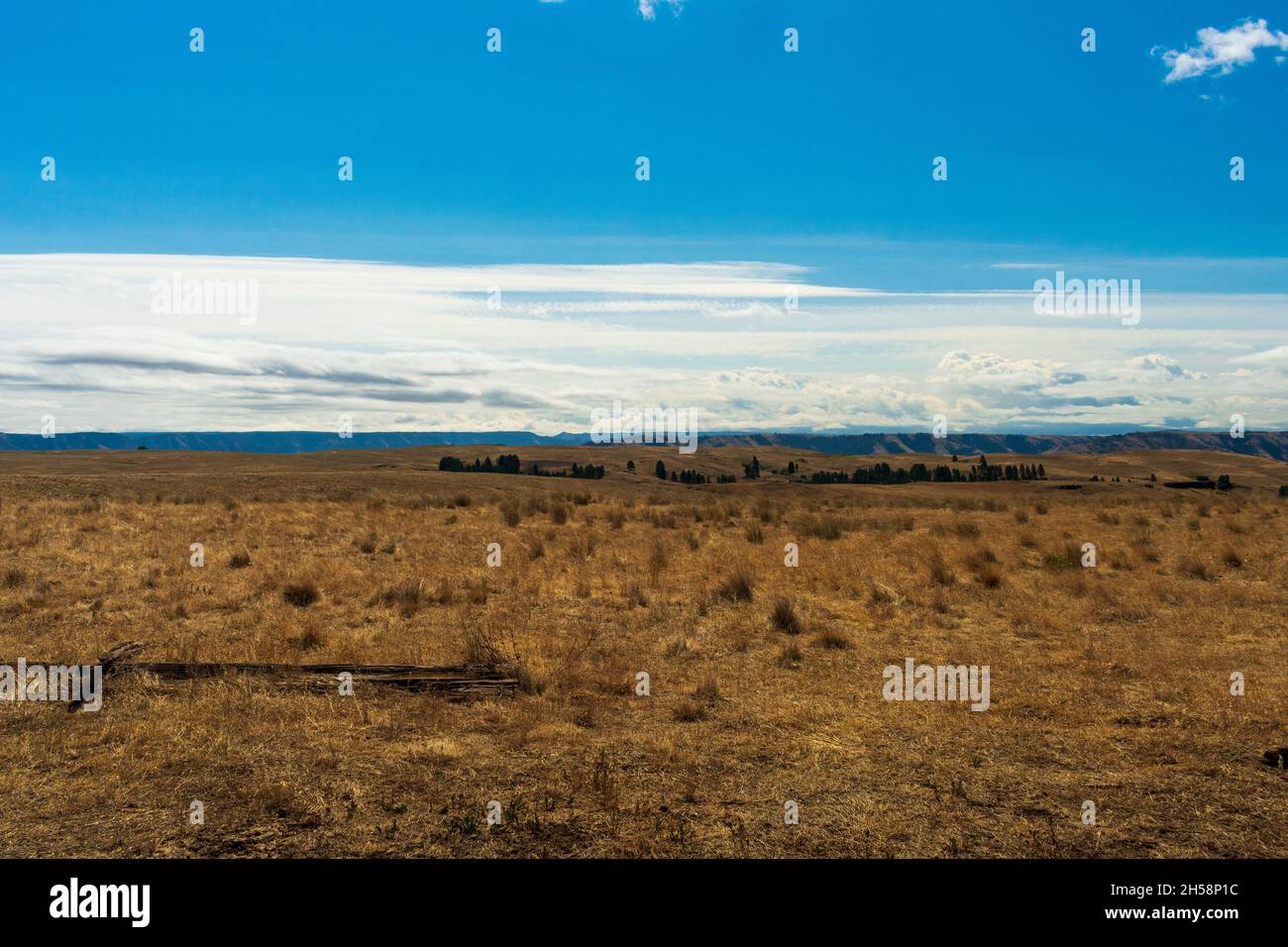 Zumwalt Prairie, zone de loisirs nationale de Hells Canyon, Oregon, États-Unis Banque D'Images