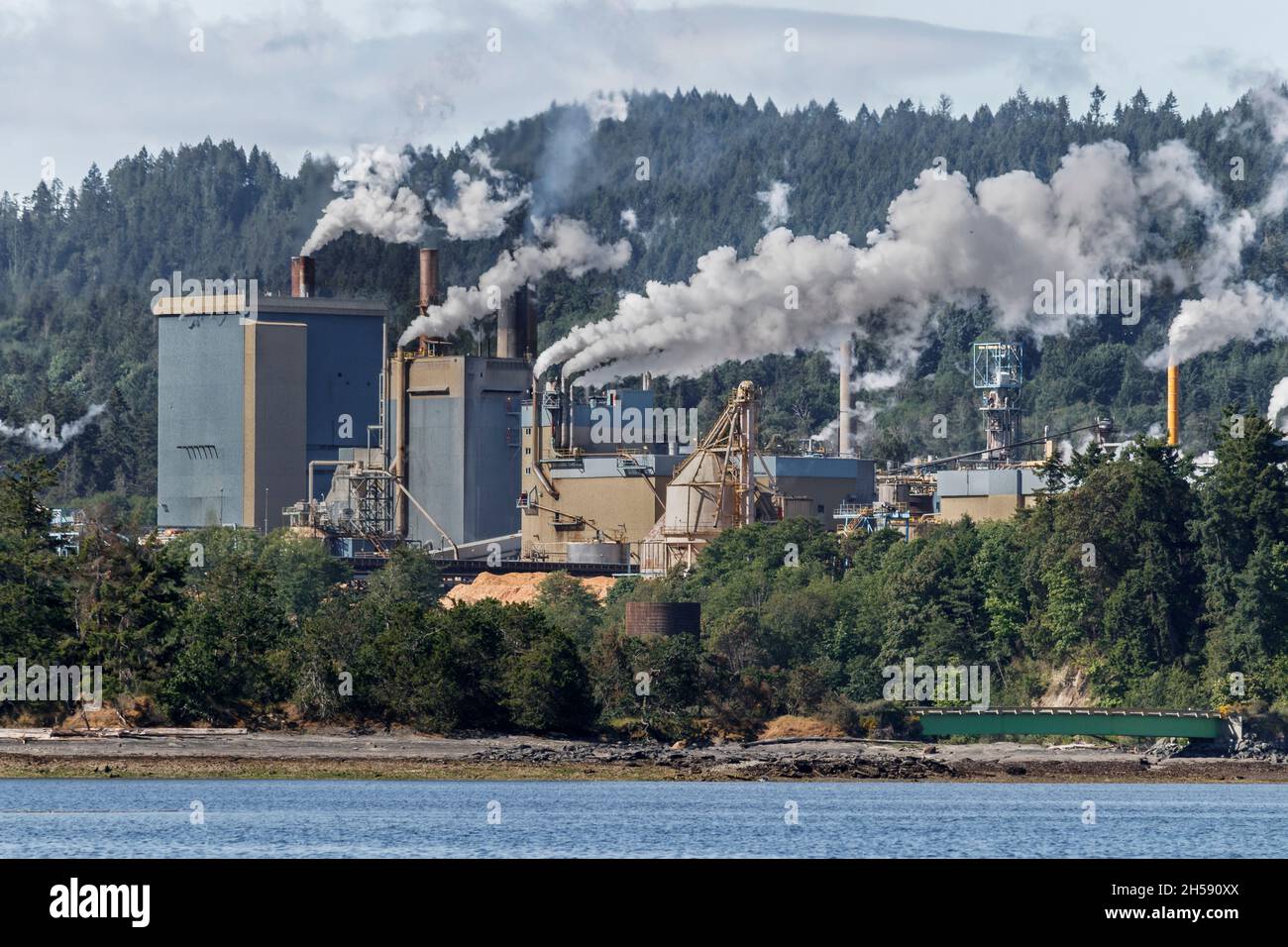 Des fours à fumée provenant des cheminées de l'usine de pâtes et papiers de Crofton, située sur le front de mer dans le sud de l'île de Vancouver, en Colombie-Britannique. Banque D'Images