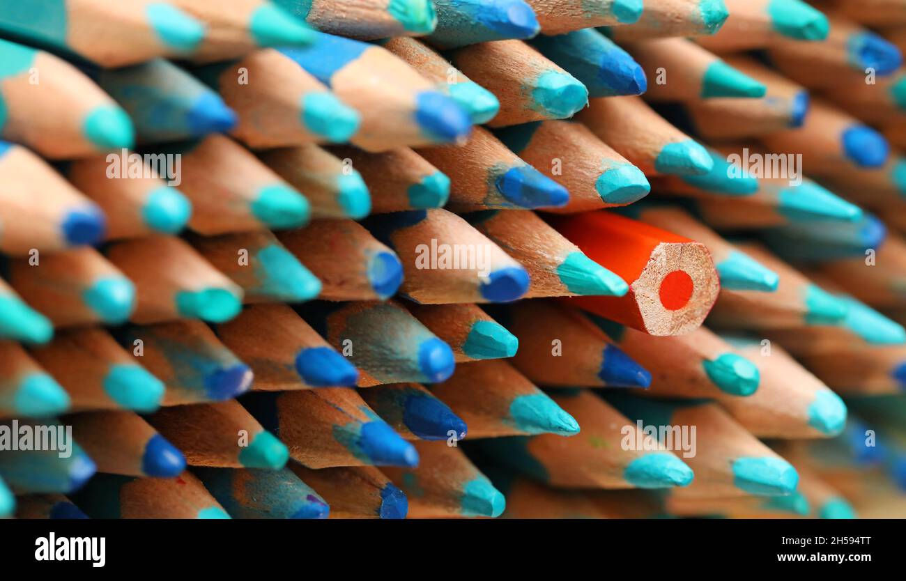 Un crayon de couleur orange pointe dans la direction opposée à la grande quantité de crayons bleu vif.Se démarquer de la foule ou être diff Banque D'Images