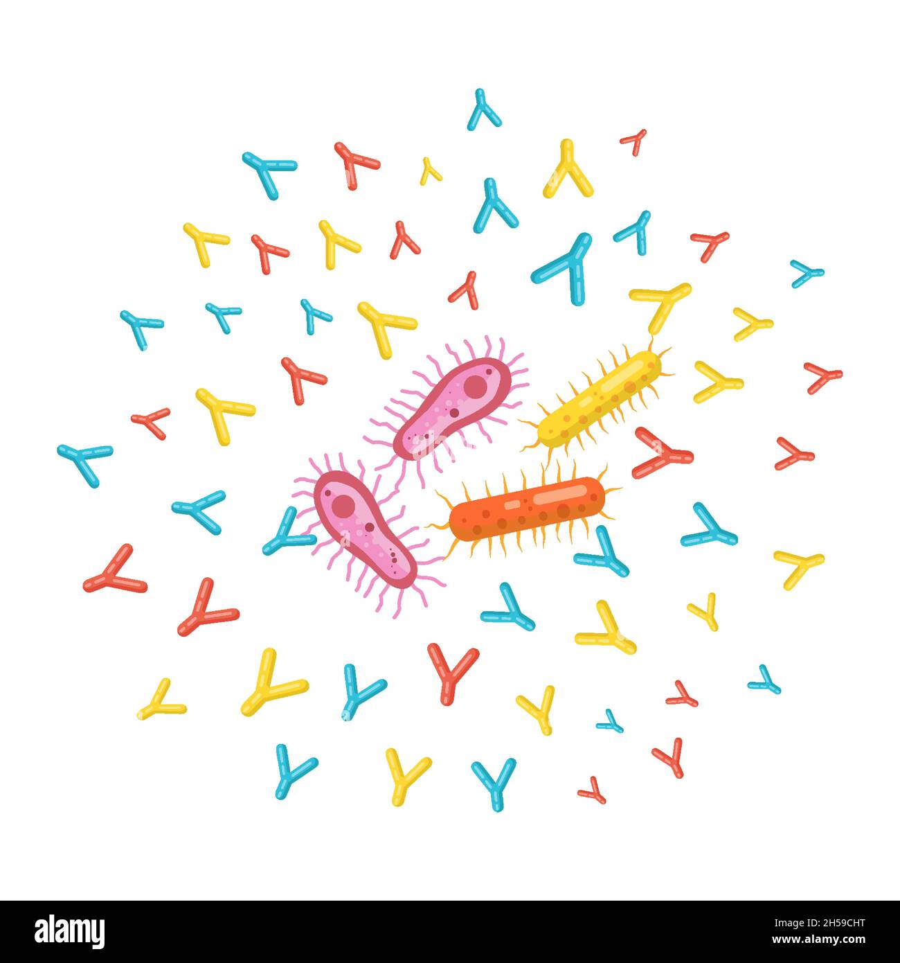 illustration anticorps vectoriels attaquant les bactéries pour protéger le corps Illustration de Vecteur