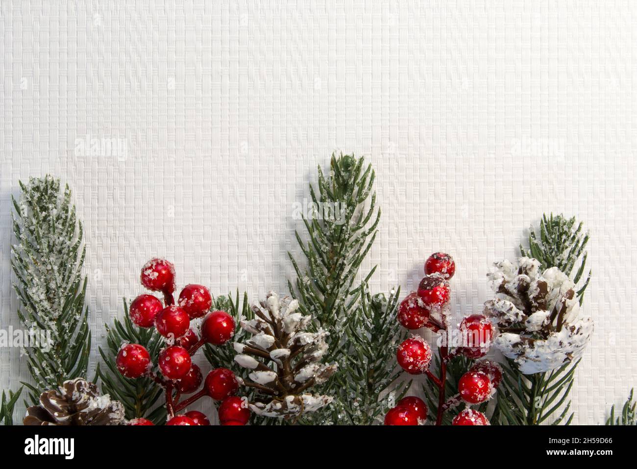 Branche de sapin de Noël avec baies et cônes, arrosée de neige sur fond texturé en bois clair Banque D'Images