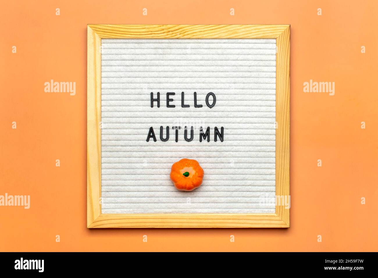 Sanglier avec texte Hello automnal, citrouille sur fond orange vue du dessus Flat Lay Seasonal concept Bonjour septembre, octobre, novembre Banque D'Images