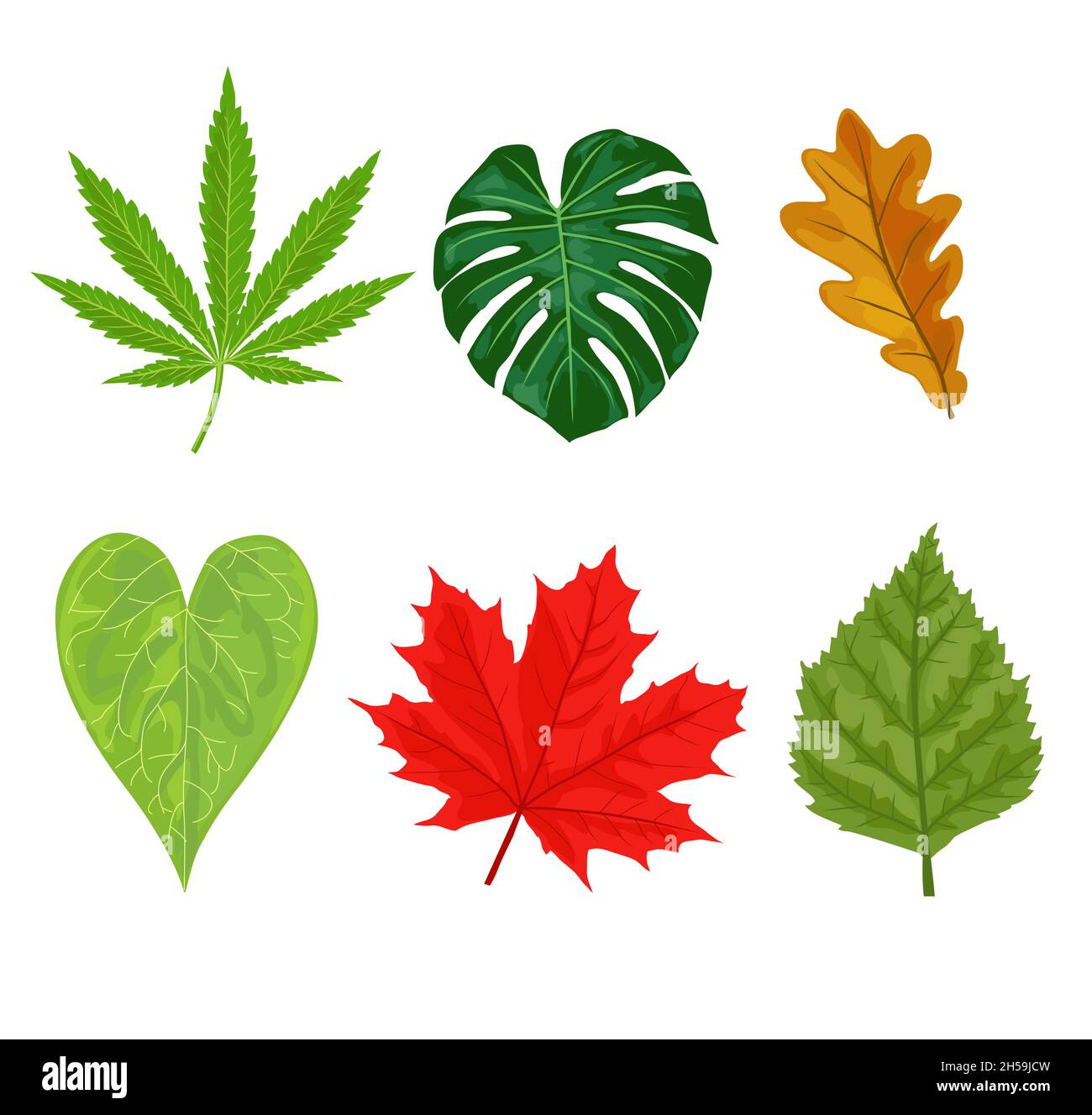 Feuilles d'automne. Feuille de jardin jaune automnale, feuille d'automne rouge et feuilles mortes sèches. Plantes de la forêt botanique ou feuillage de l'arbre de septembre octobre. isola plate Illustration de Vecteur