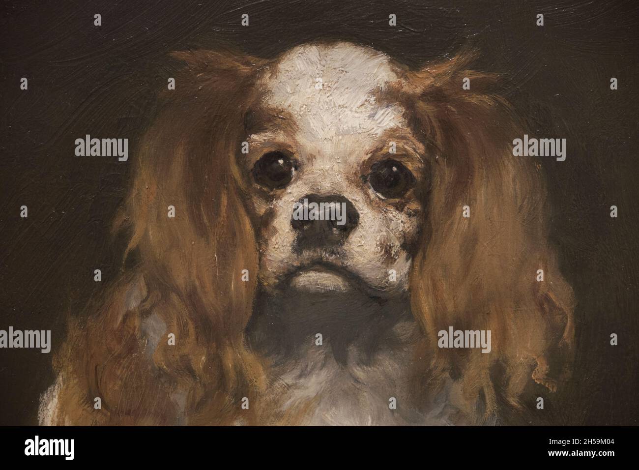 Détail tête d'une peinture à l'huile intitulée A King Charles Spaniel par Edouard Manet.À la National Gallery of Art de Washington DC. Banque D'Images