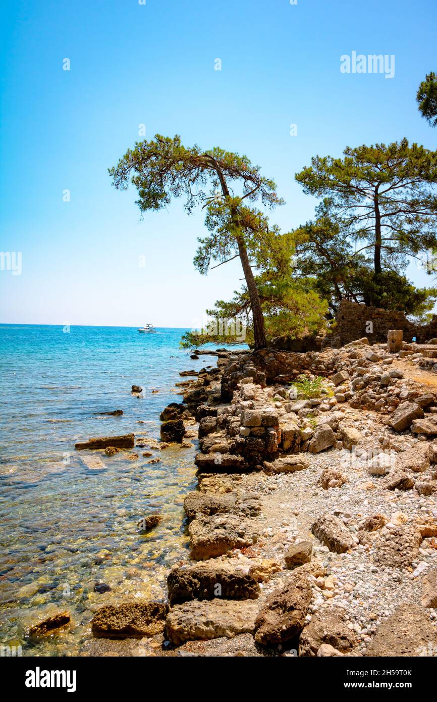 Arbres sur les rochers et mer turquoise.Tourisme ou arrière-plan de vacances avec espace de copie.Mer Méditerranée en été.Tourisme en Turquie. Banque D'Images
