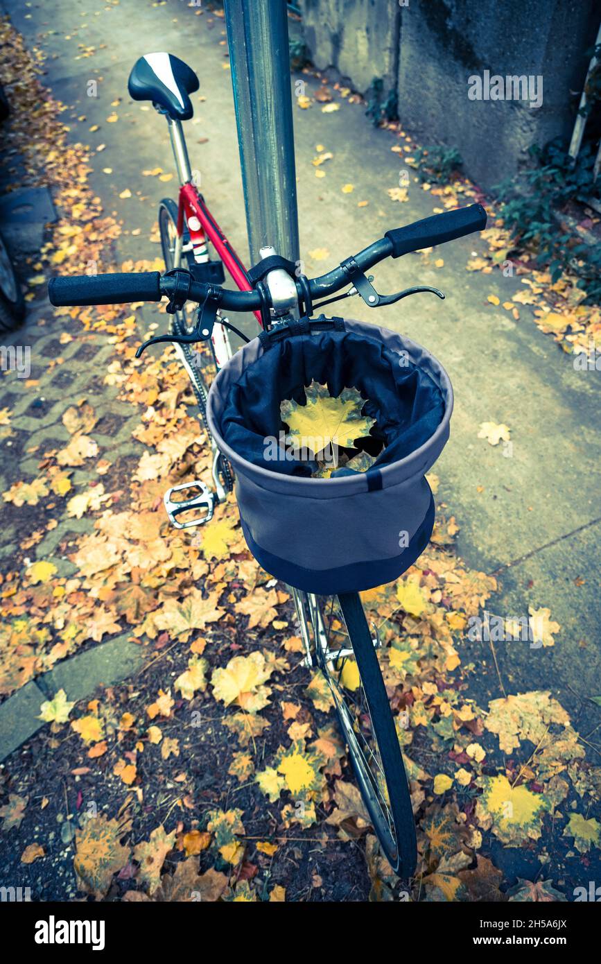 L'automne, partez dans un panier à vélo dans une rue Banque D'Images
