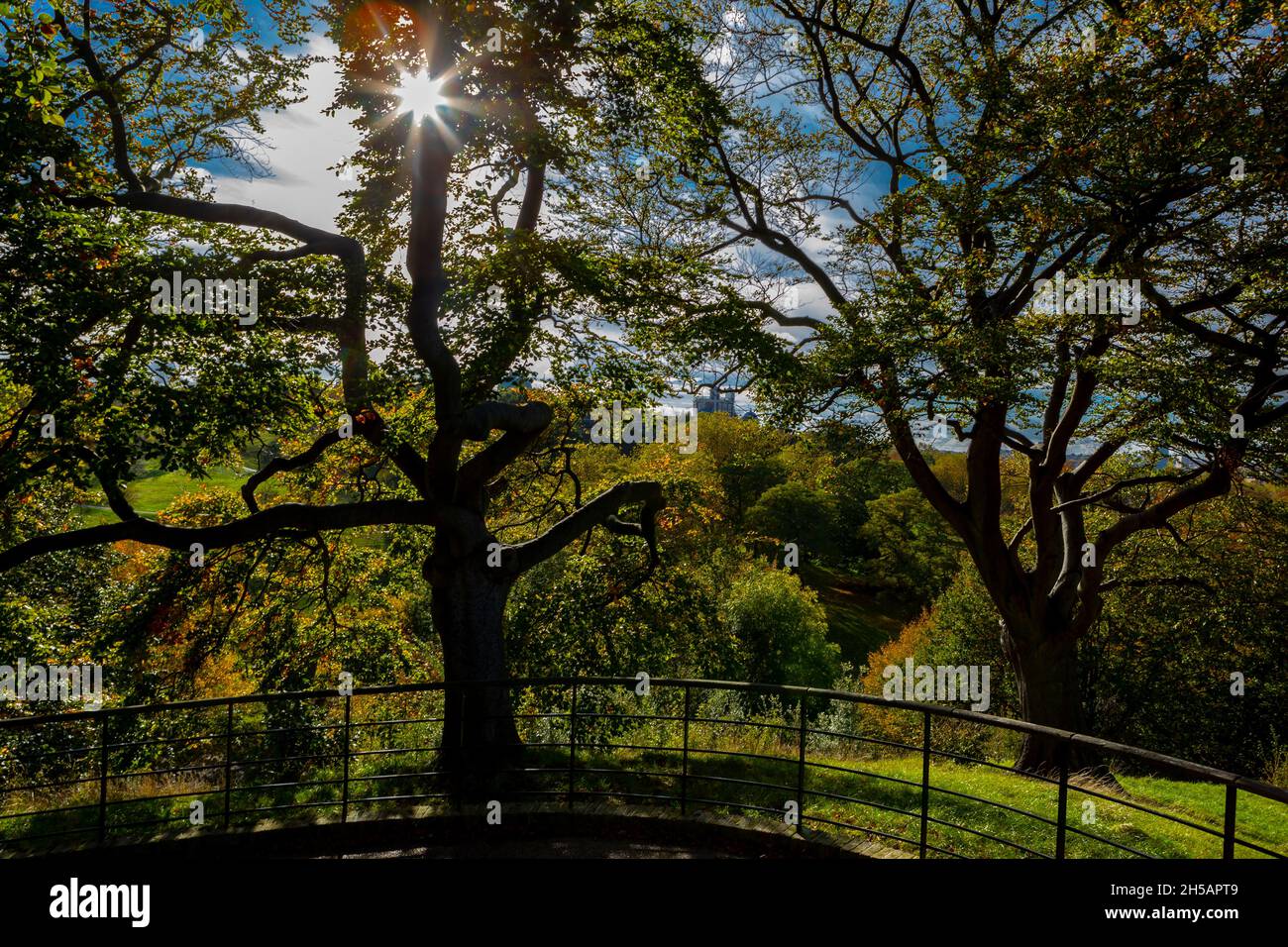 Le soleil éclate à travers les arbres au milieu de la ruée d'automne à Greenwich Park, avec l'Observatoire royal de Londres Banque D'Images