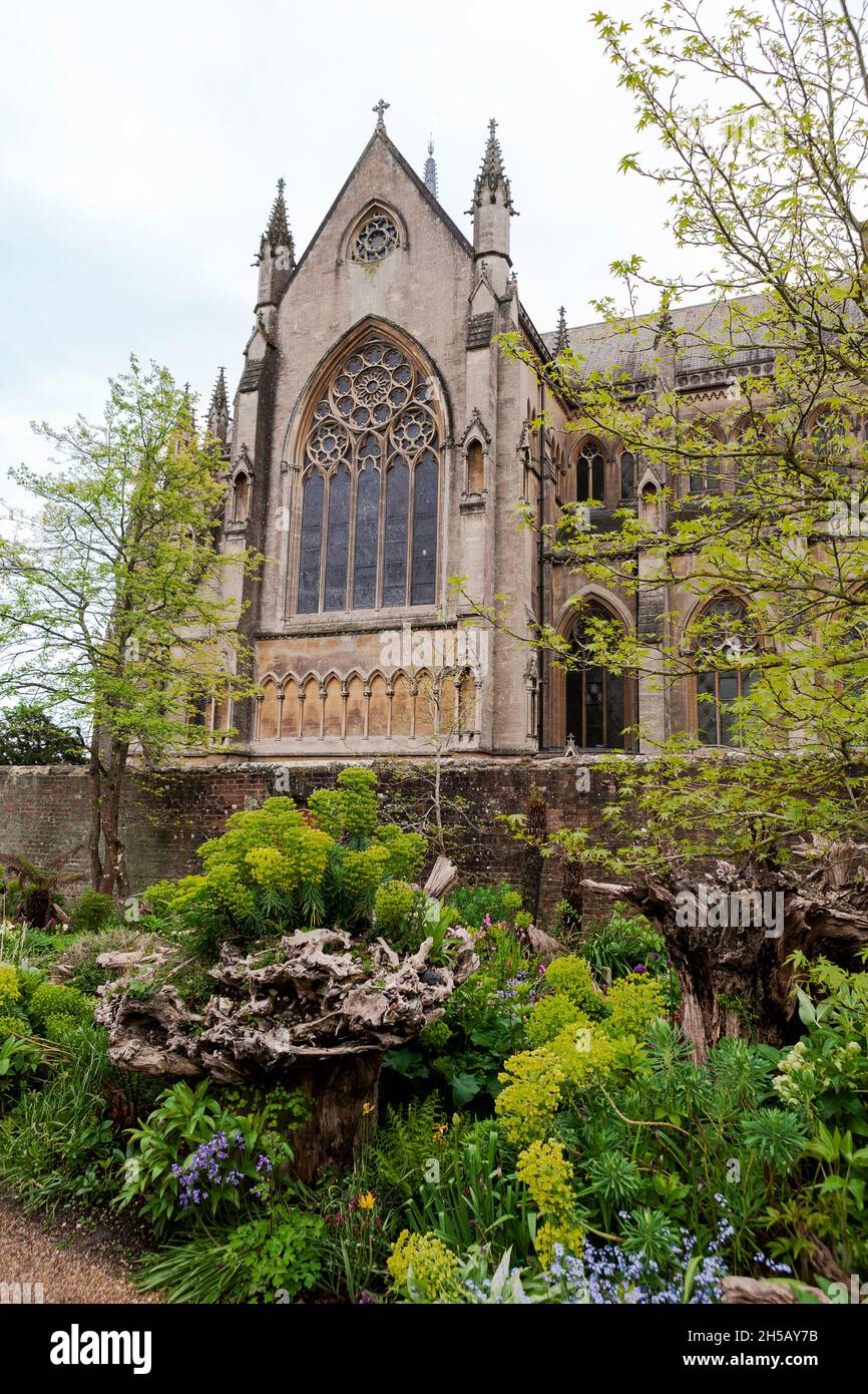 Cathédrale d'Arundel, depuis le Stumpery, jardin du collectionneur Ear, château d'Arundel, West Sussex,ROYAUME-UNI Banque D'Images