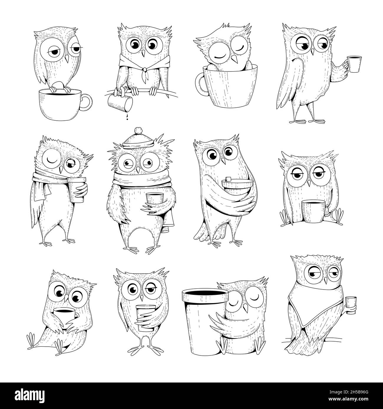 Caractères hibou.Drôle d'oiseaux sauvages de nuit avec une tasse de thé ou de café dormir chouettes natures vectorielles Illustration de Vecteur