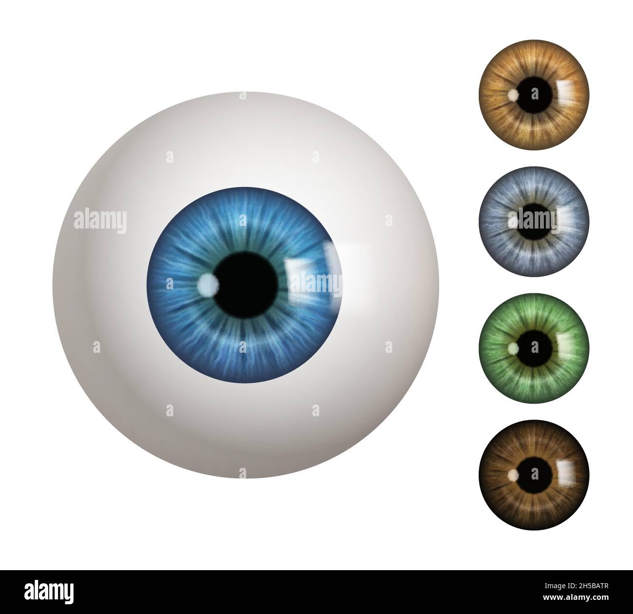 Globe oculaire humain.Personnes éléments anatomiques macro vue 3d médical symboles vecteur décents Illustration de Vecteur