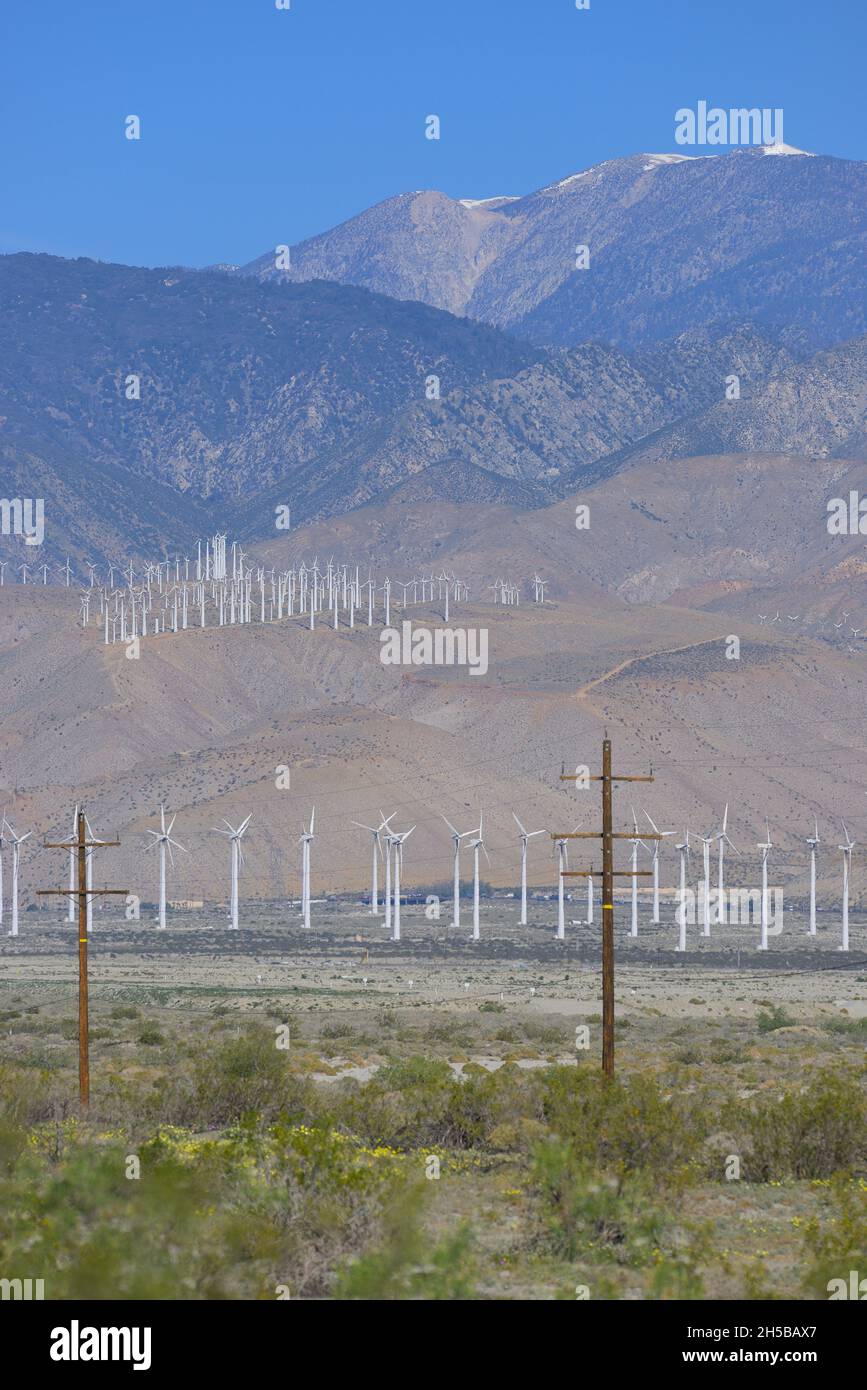 L'immense parc éolien de San Gorgonio Pass, près de Palm Springs CA Banque D'Images