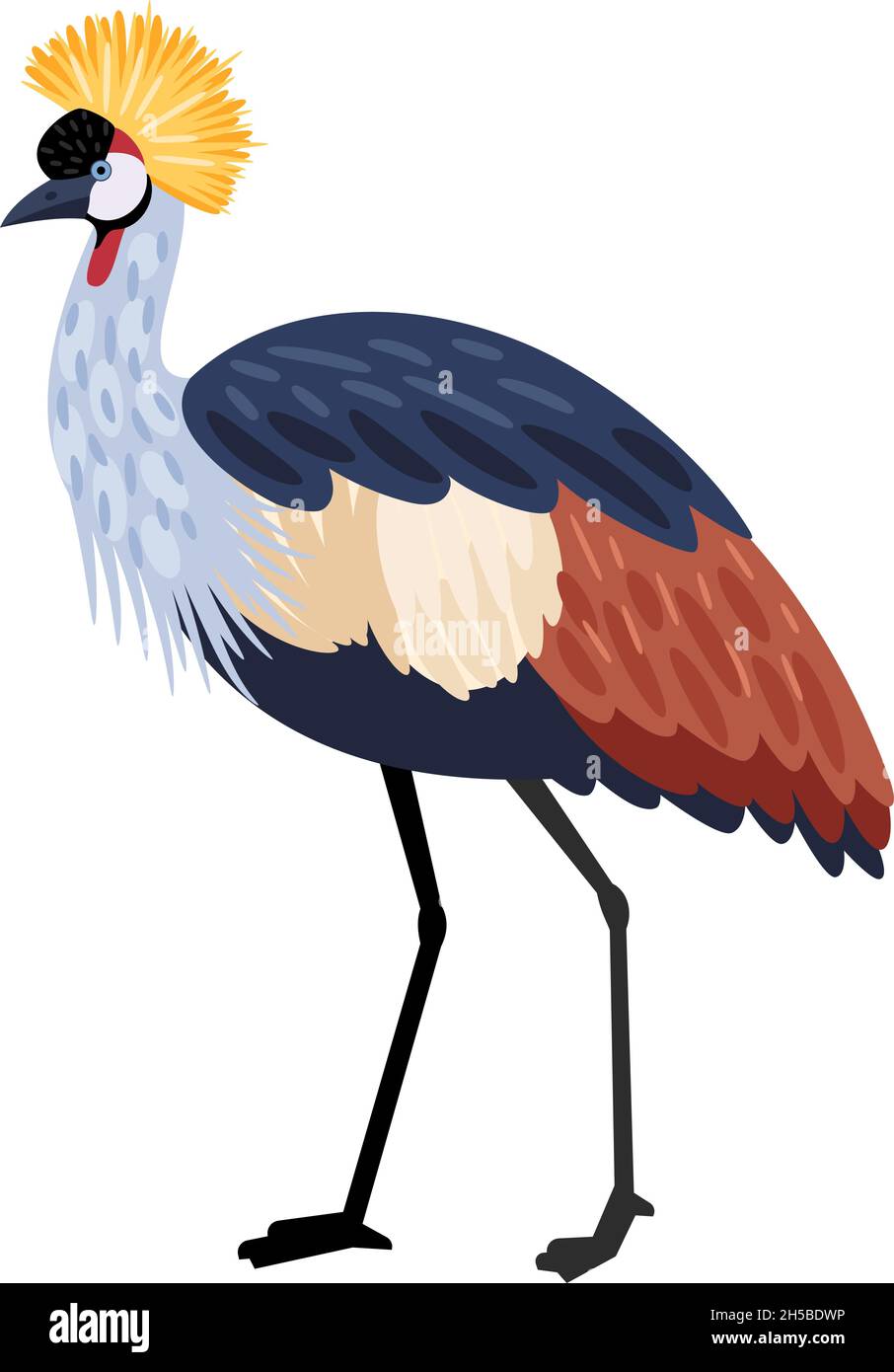 Oiseau avec de longues jambes.Dessin animé caractère exotique coloré de la nature avec bec et plumes, illustration vectorielle de la grue à crête isolée sur fond blanc Illustration de Vecteur