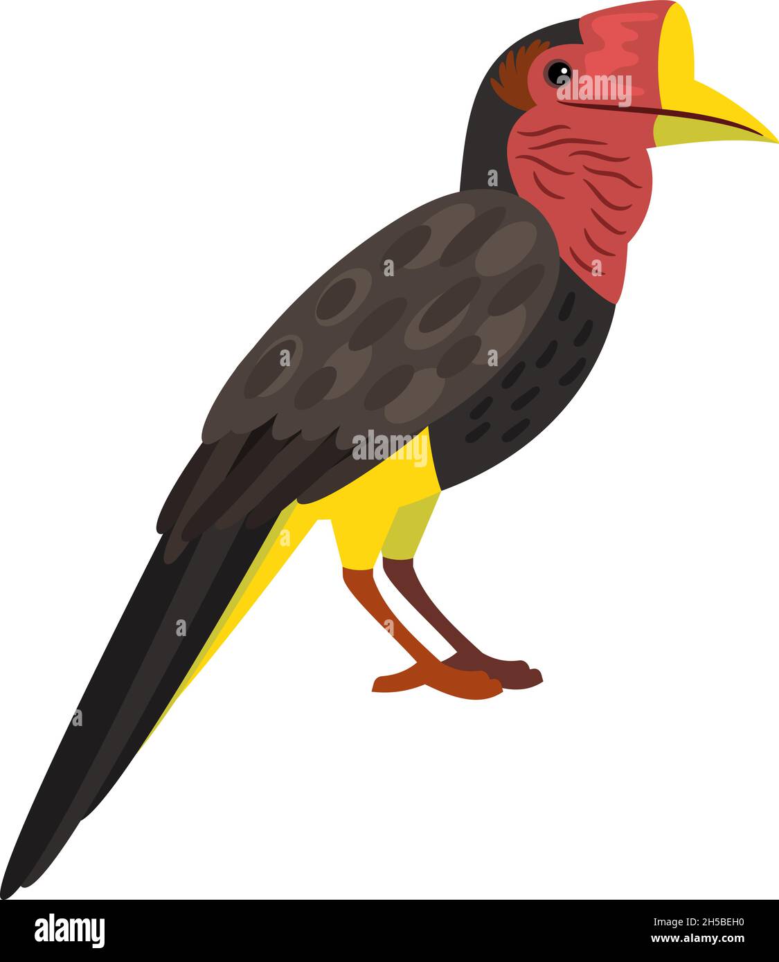 Oiseau avec grand bec.Dessin animé animal exotique du ciel, caractère lumineux de l'ornithologie, illustration vectorielle du charme hellaqué isolé sur fond blanc Illustration de Vecteur