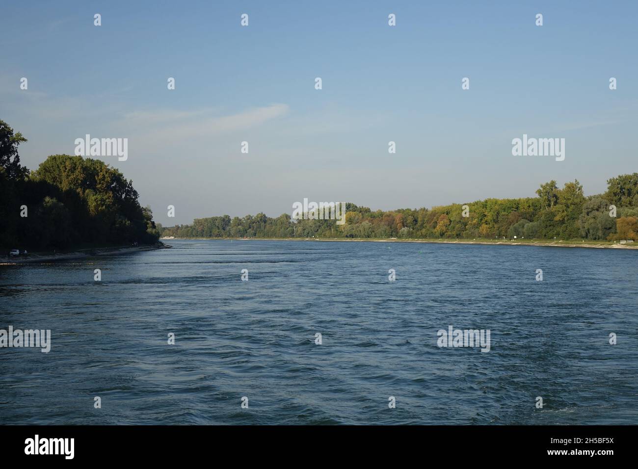 Rive orientale du Rhin vue de la rivière par un jour d'automne froid et ensoleillé, Maxau, Karlsruhe, Bade-Wurtemberg, Allemagne Banque D'Images