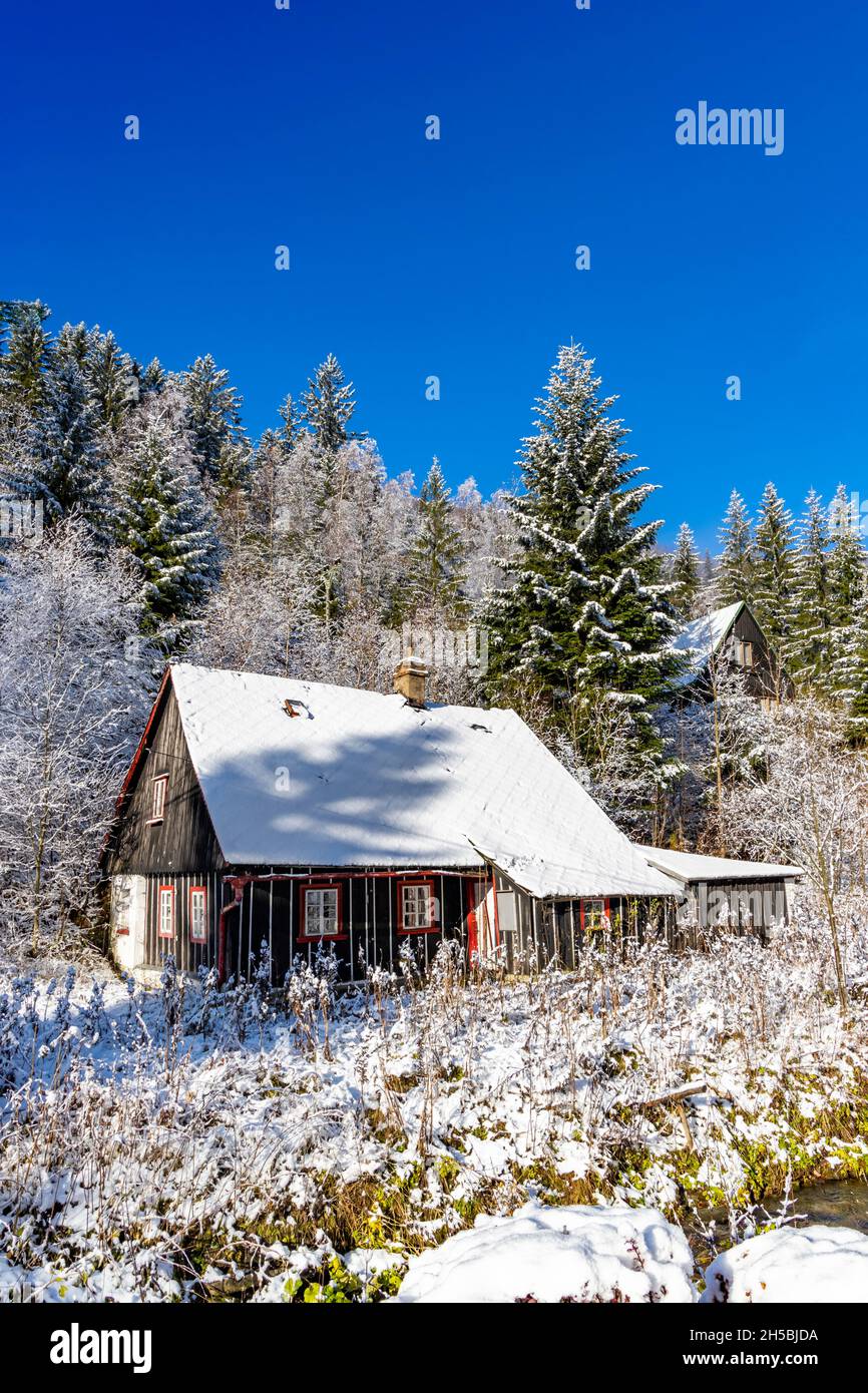 Cottage à Orlicke Hory, Bohême orientale, République tchèque Banque D'Images