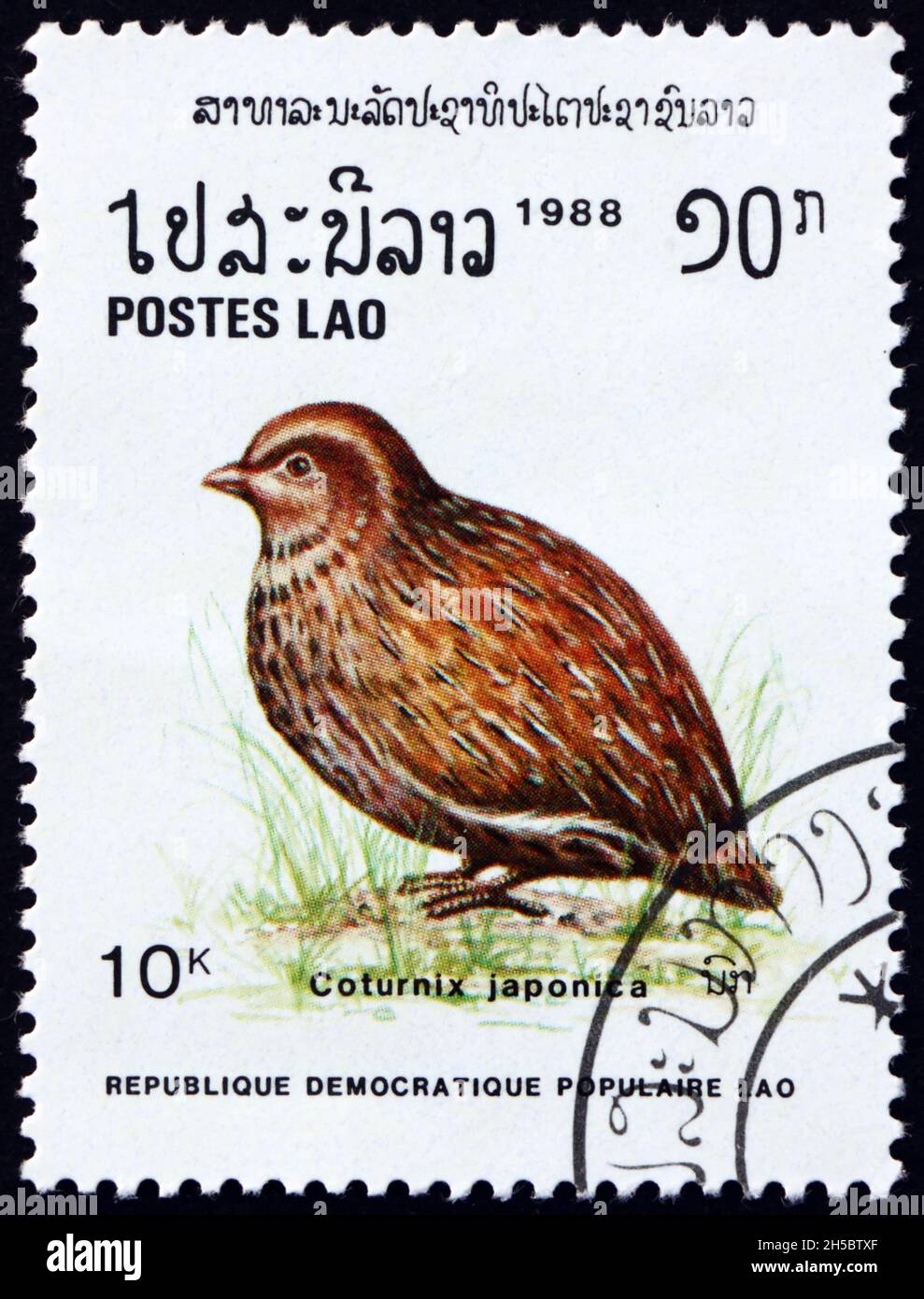 LAOS - VERS 1988: Un timbre imprimé au Laos montre la caille japonaise, coturnix japonica, est une espèce de caille de l'ancien monde que l'on trouve en Asie de l'est, vers 1988 Banque D'Images