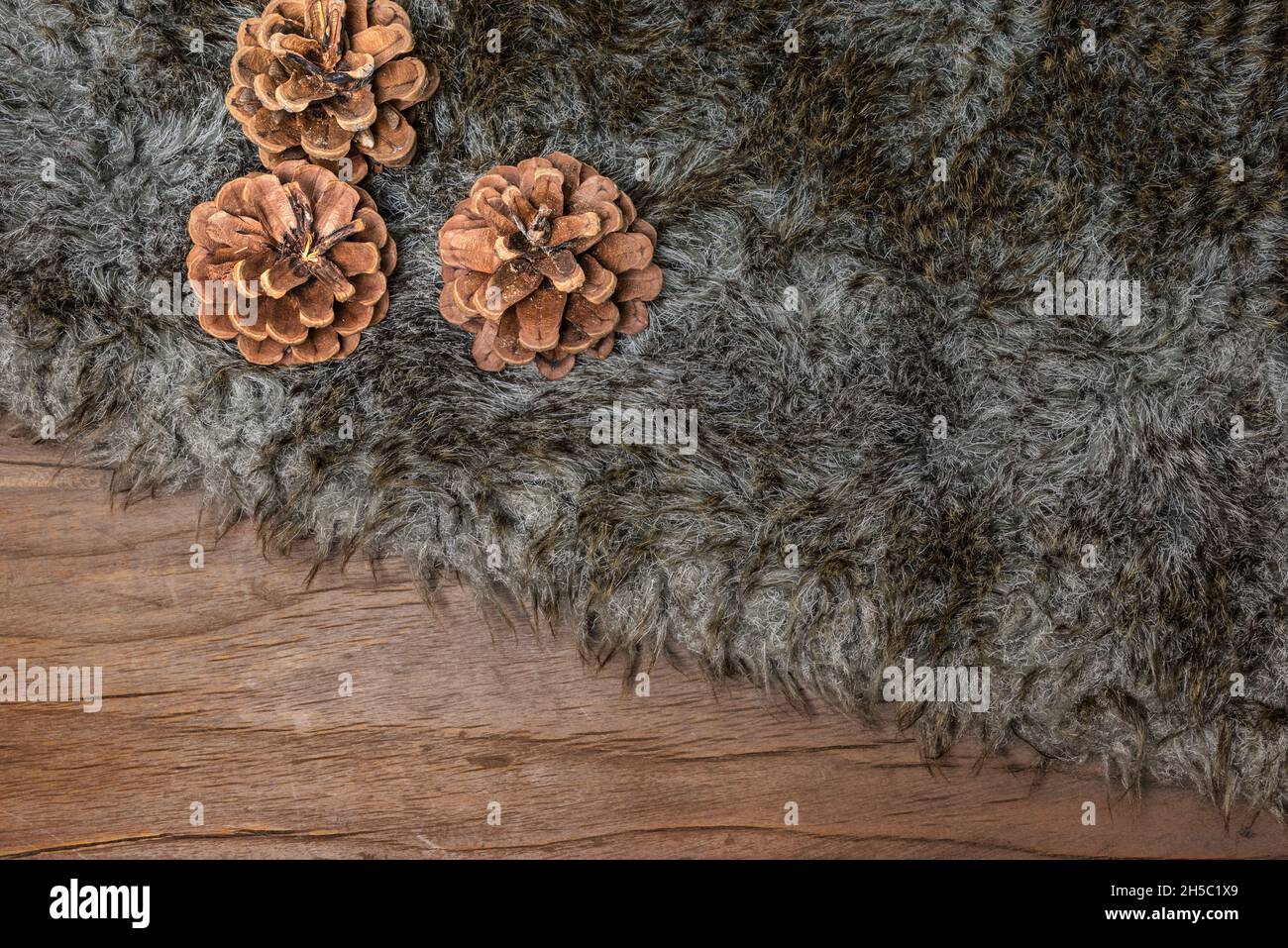 Tissu en fourrure et cônes de pin sur bois. Banque D'Images