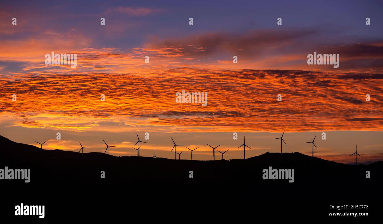 Silhouette d'éoliennes au lever du soleil, Tarifa, Cadix, Andalousie, Espagne Banque D'Images