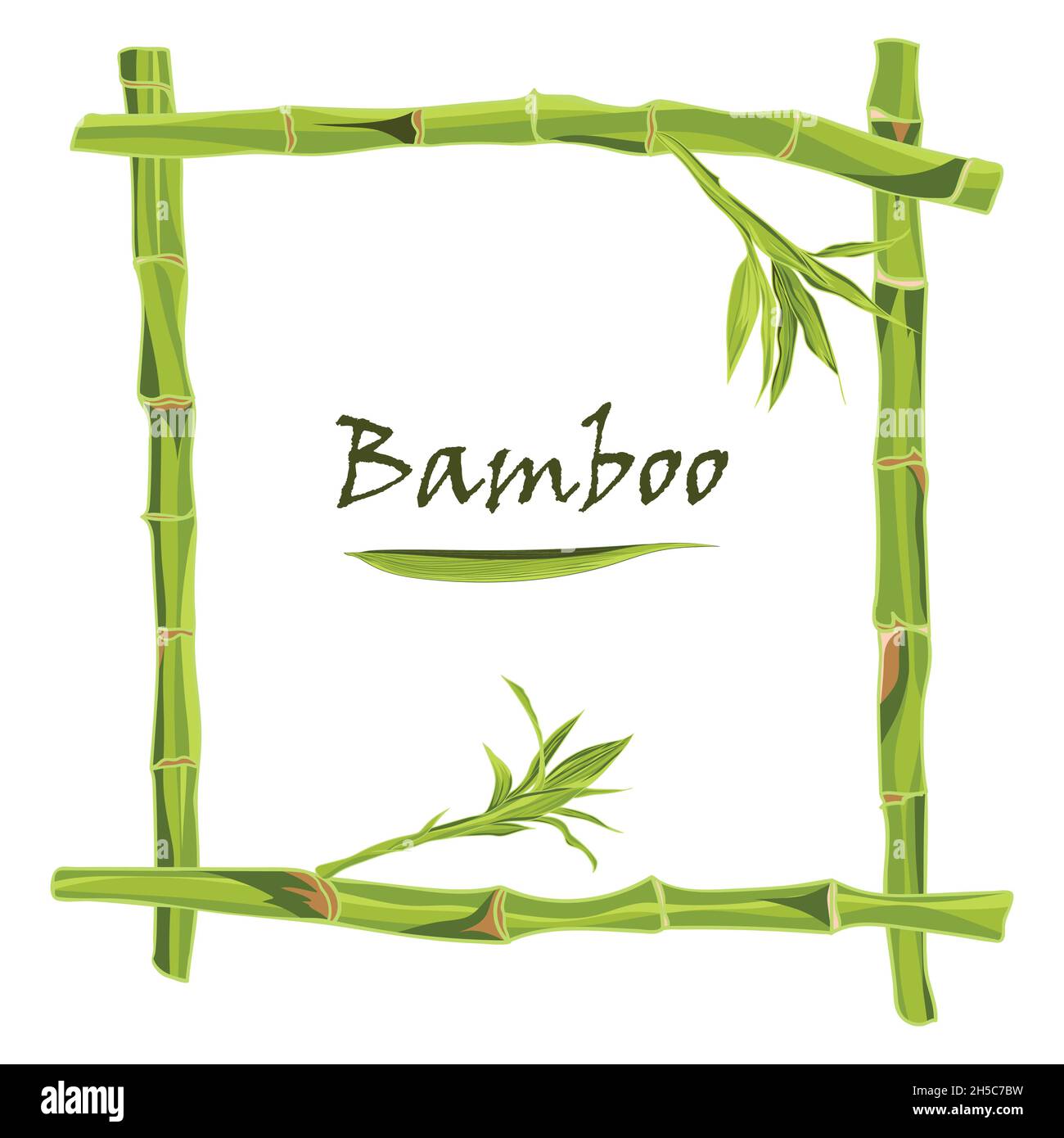 Cadre en bambou vert dessiné à la main avec espace pour le texte Illustration de Vecteur